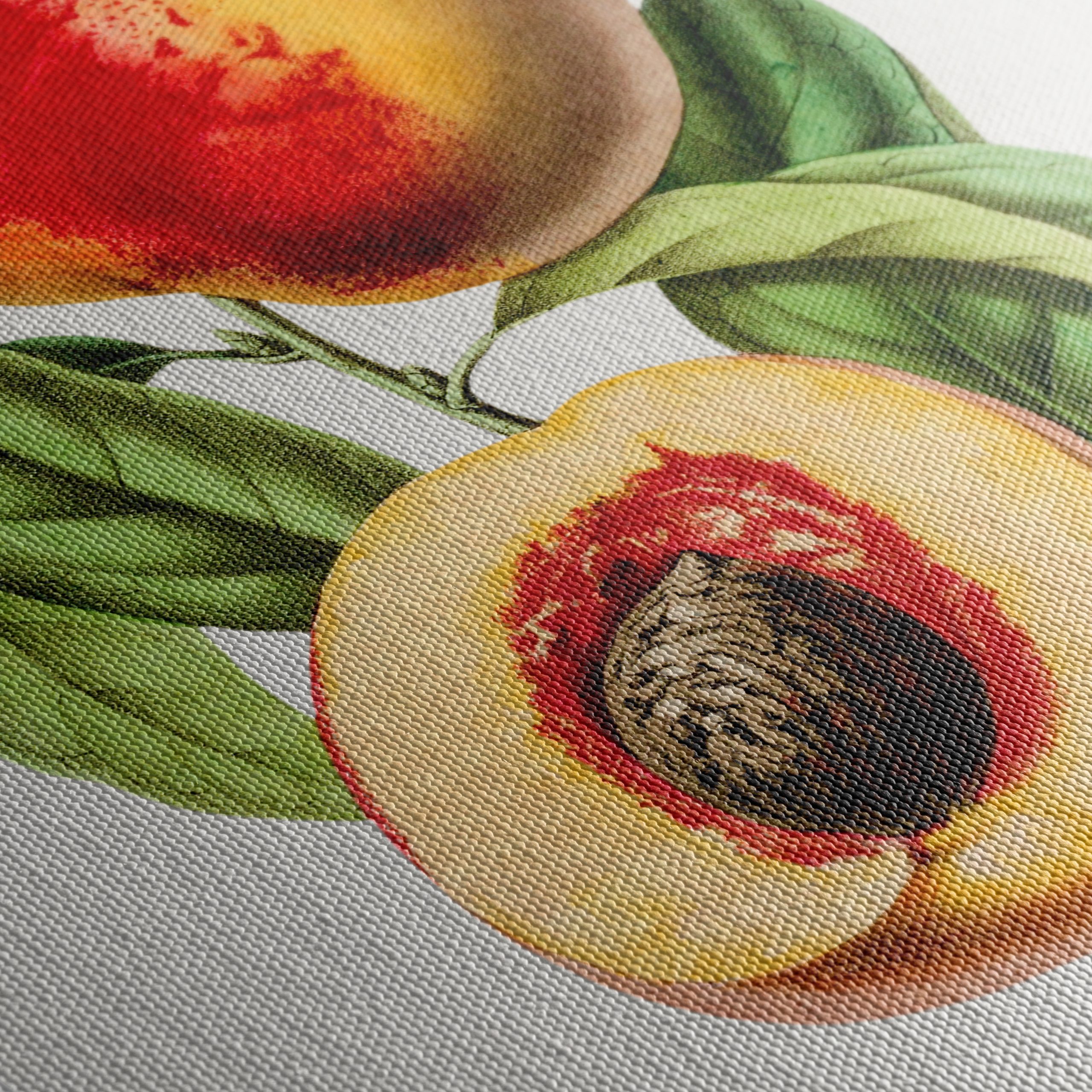 Realistic Botanical Illustration of Peaches - Image 5