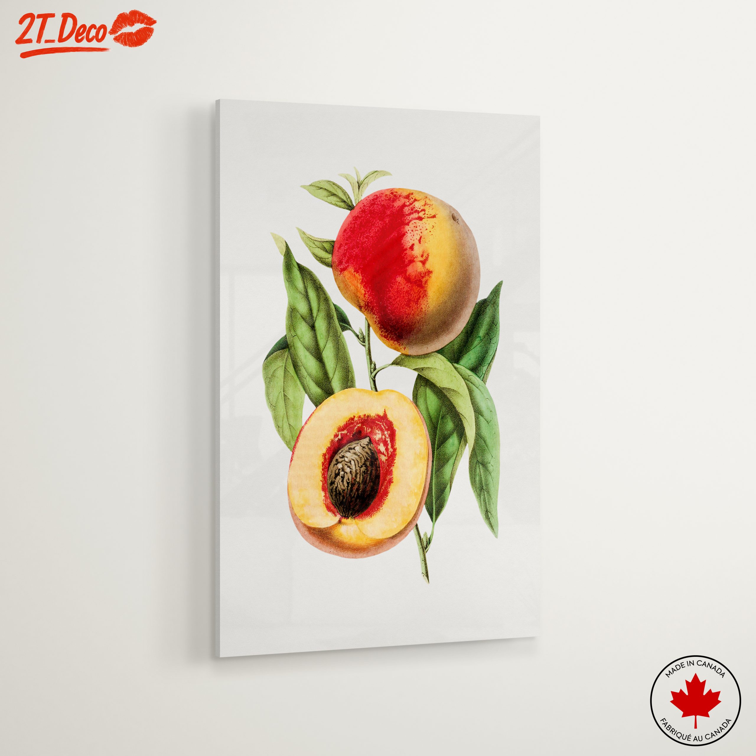 Realistic Botanical Illustration of Peaches - Image 6