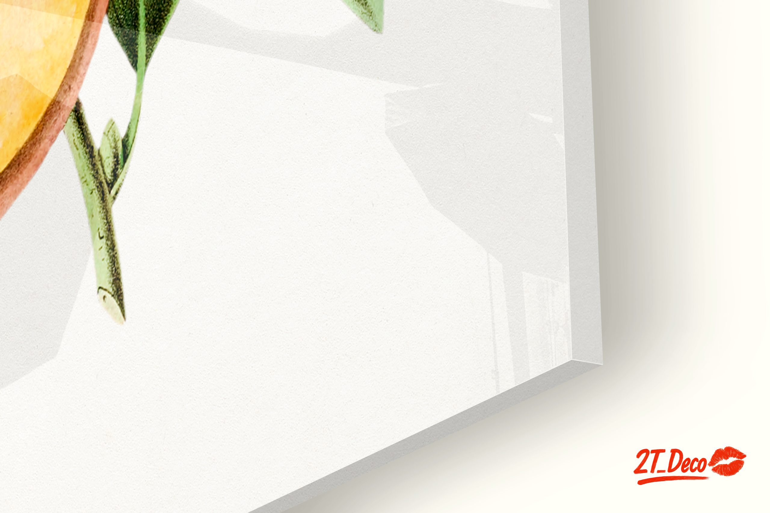 Realistic Botanical Illustration of Peaches - Image 9