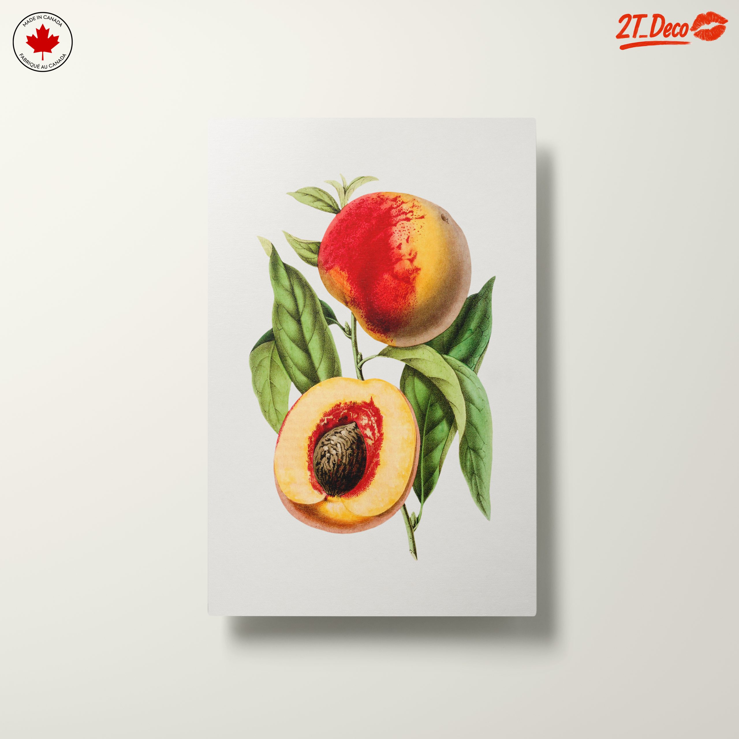 Realistic Botanical Illustration of Peaches - Image 10