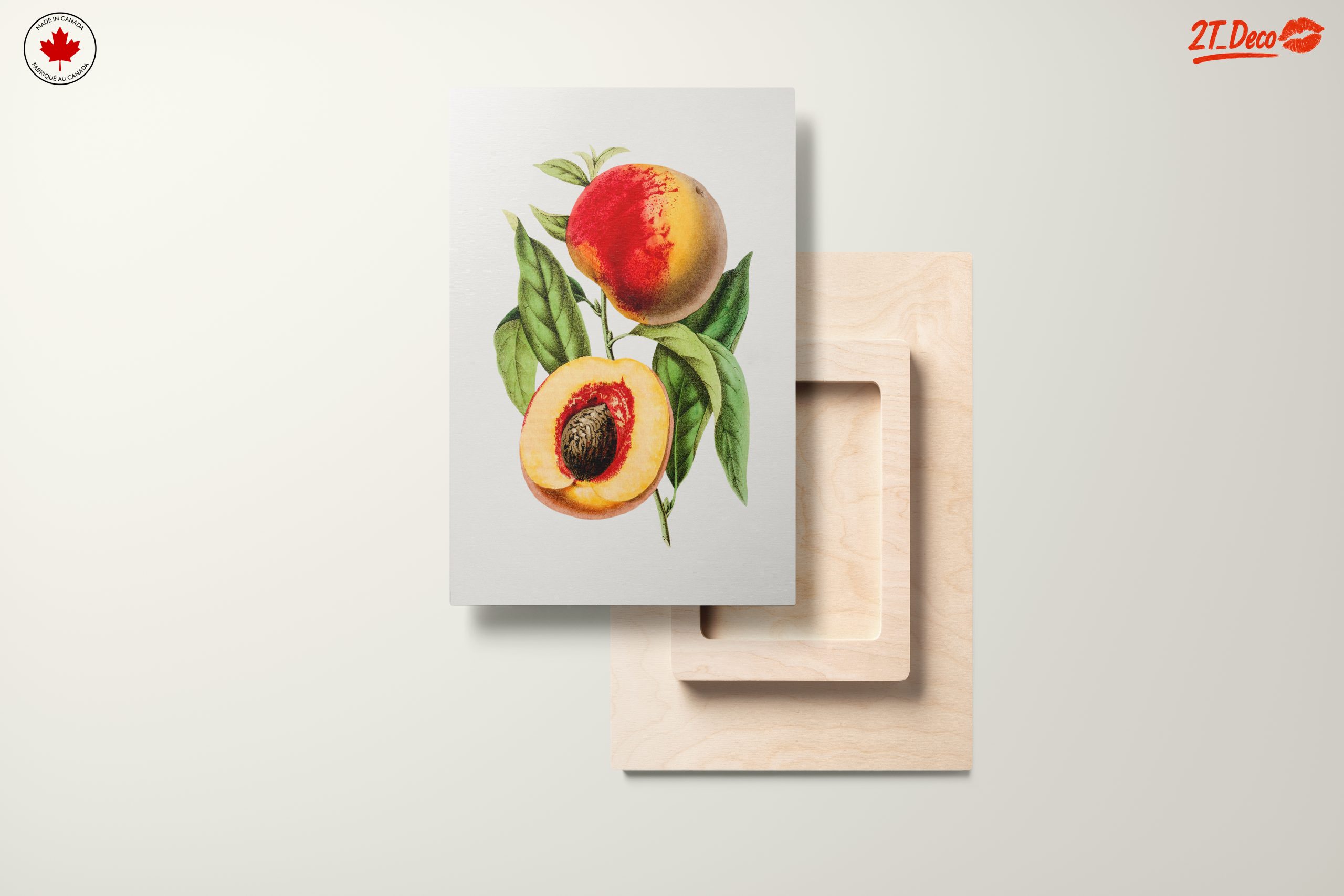 Realistic Botanical Illustration of Peaches - Image 11