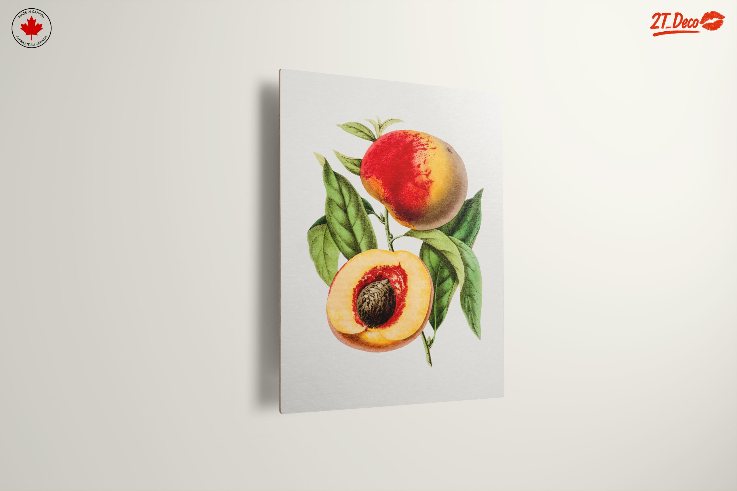 Realistic Botanical Illustration of Peaches - Image 13