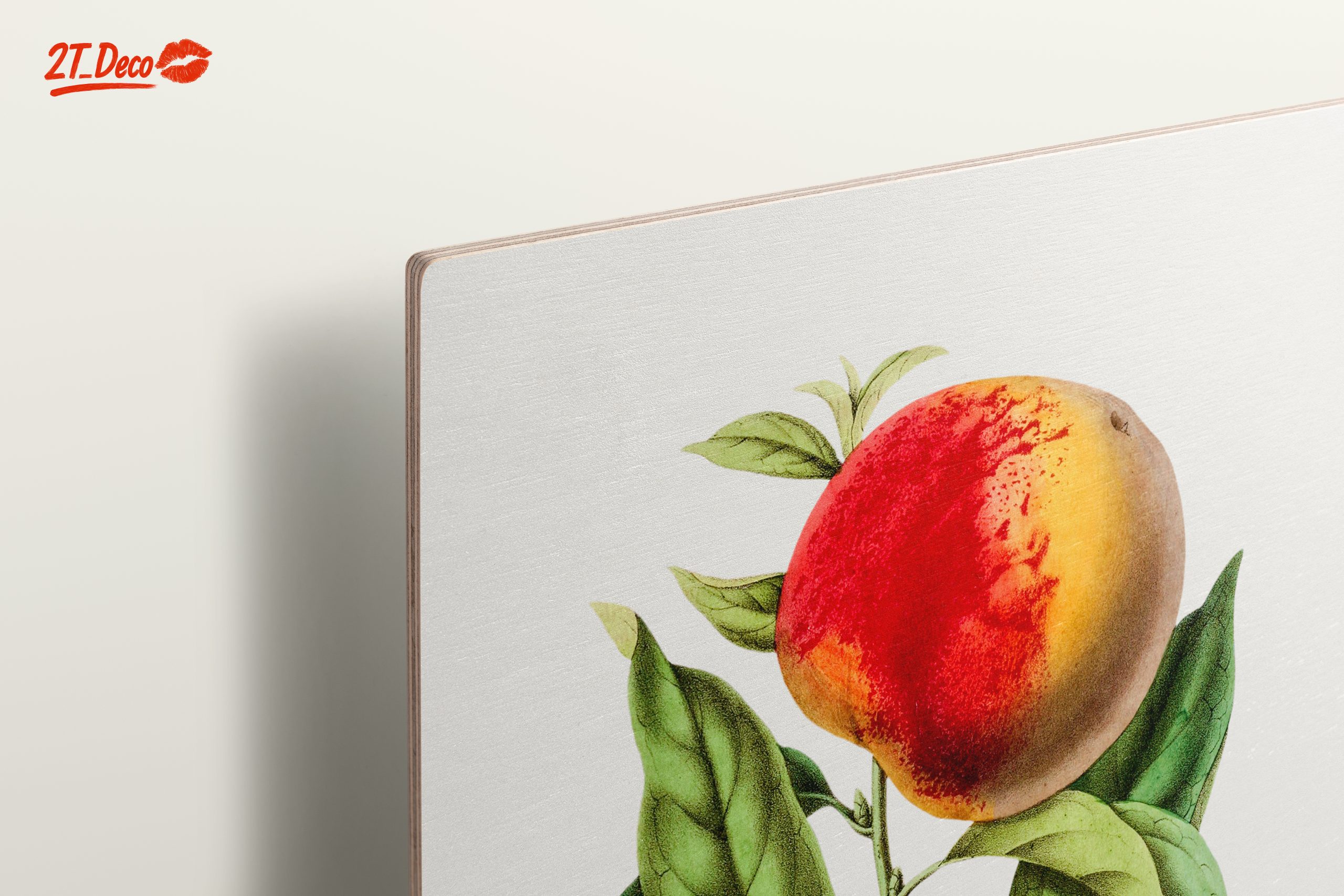 Realistic Botanical Illustration of Peaches - Image 15