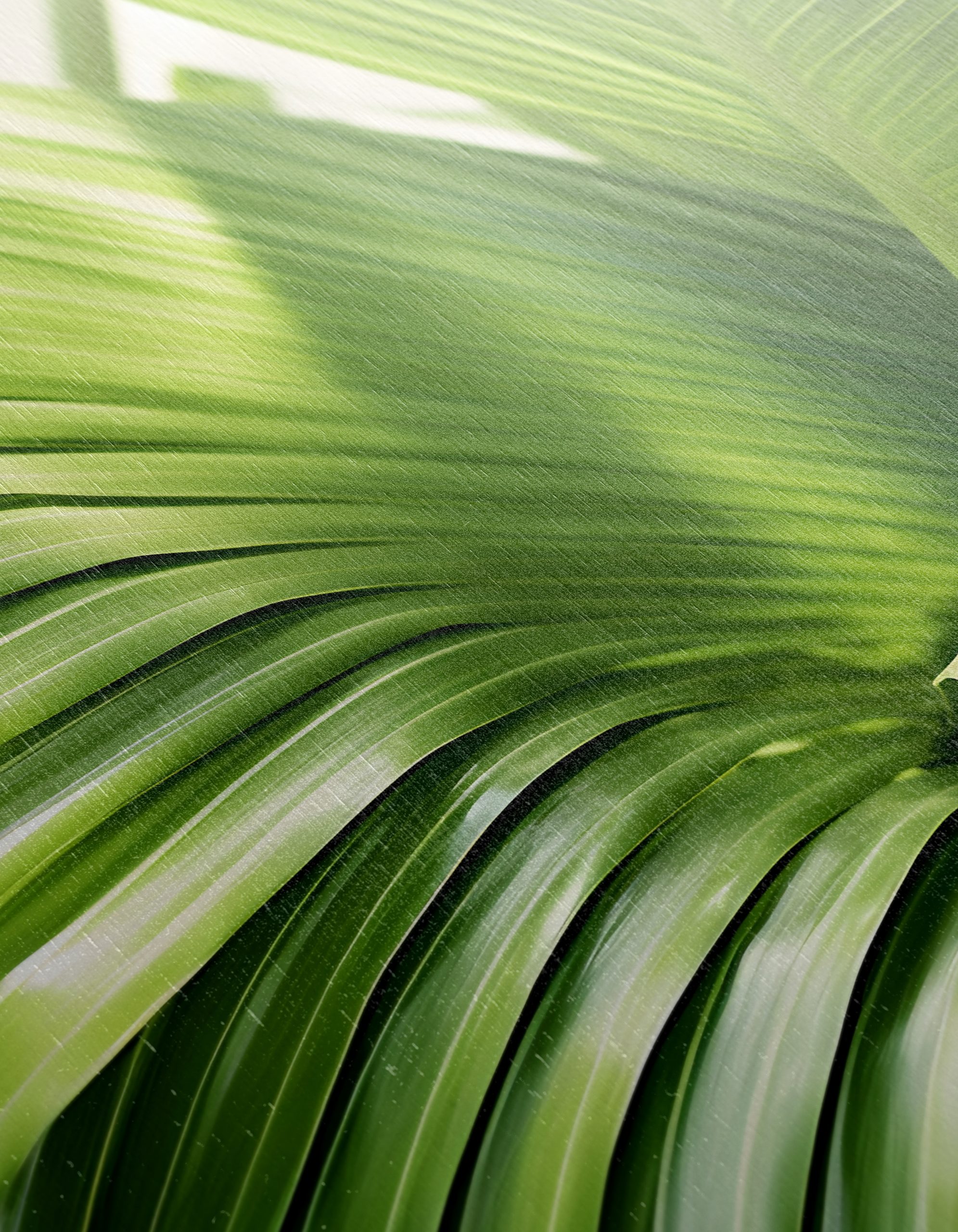 Lush Green Botanical Leaf Artwork - Image 12