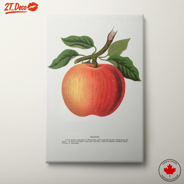 Stylized Illustration of an Apple