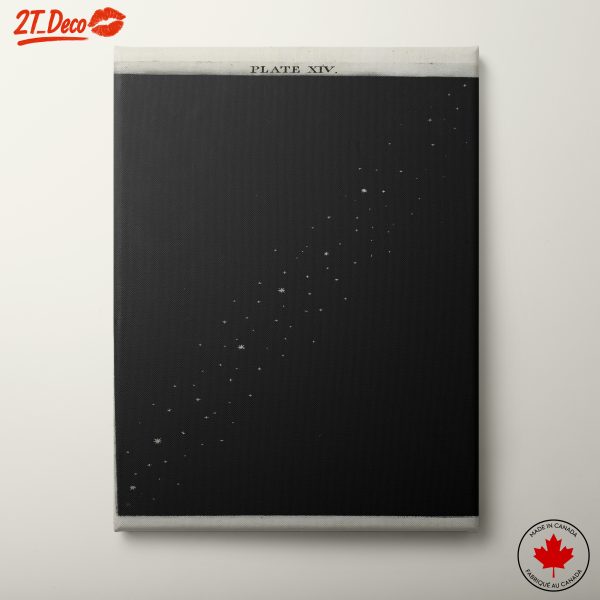 Starlit Celestial Body Artwork