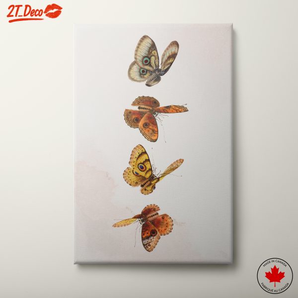 Detailed Butterfly Illustrations for Home Decor