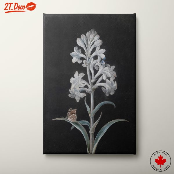 Elegant Botanical Illustration of a Flower and Butterfly