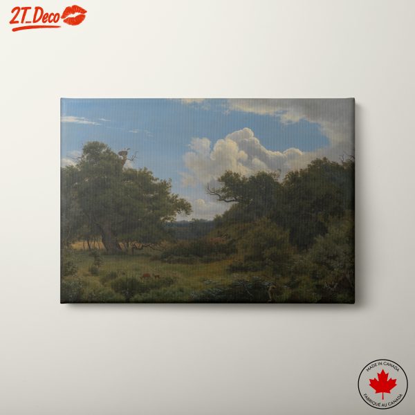 Serene Nature Landscape with Trees and Wildlife