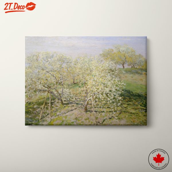 Lush Blooming Trees in Spring
