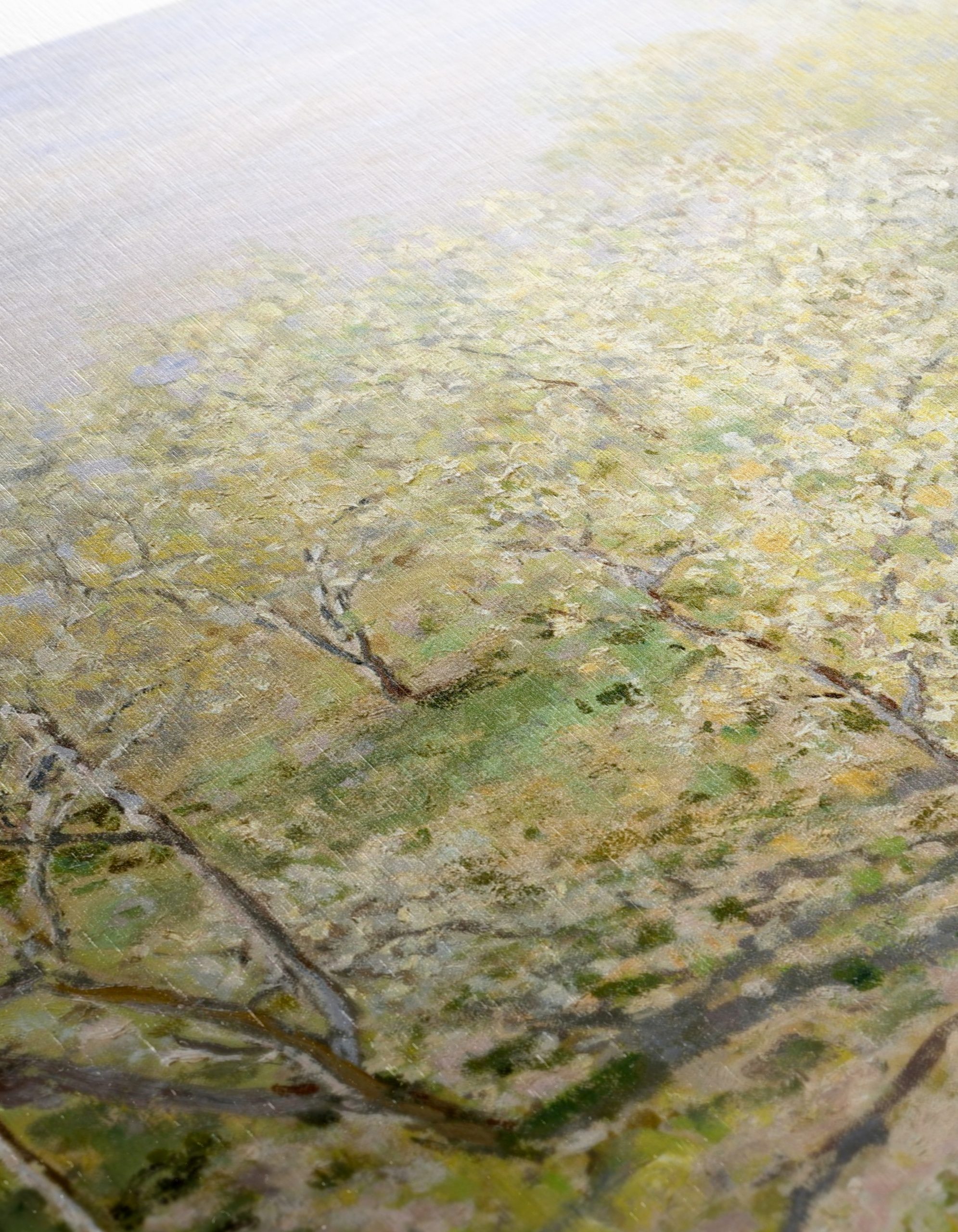 Lush Blooming Trees in Spring - Image 12
