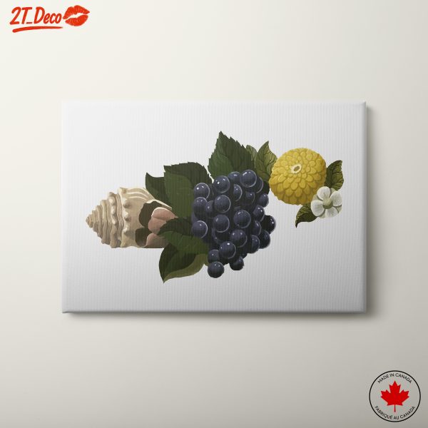Colorful Abstract Food and Flora Artwork