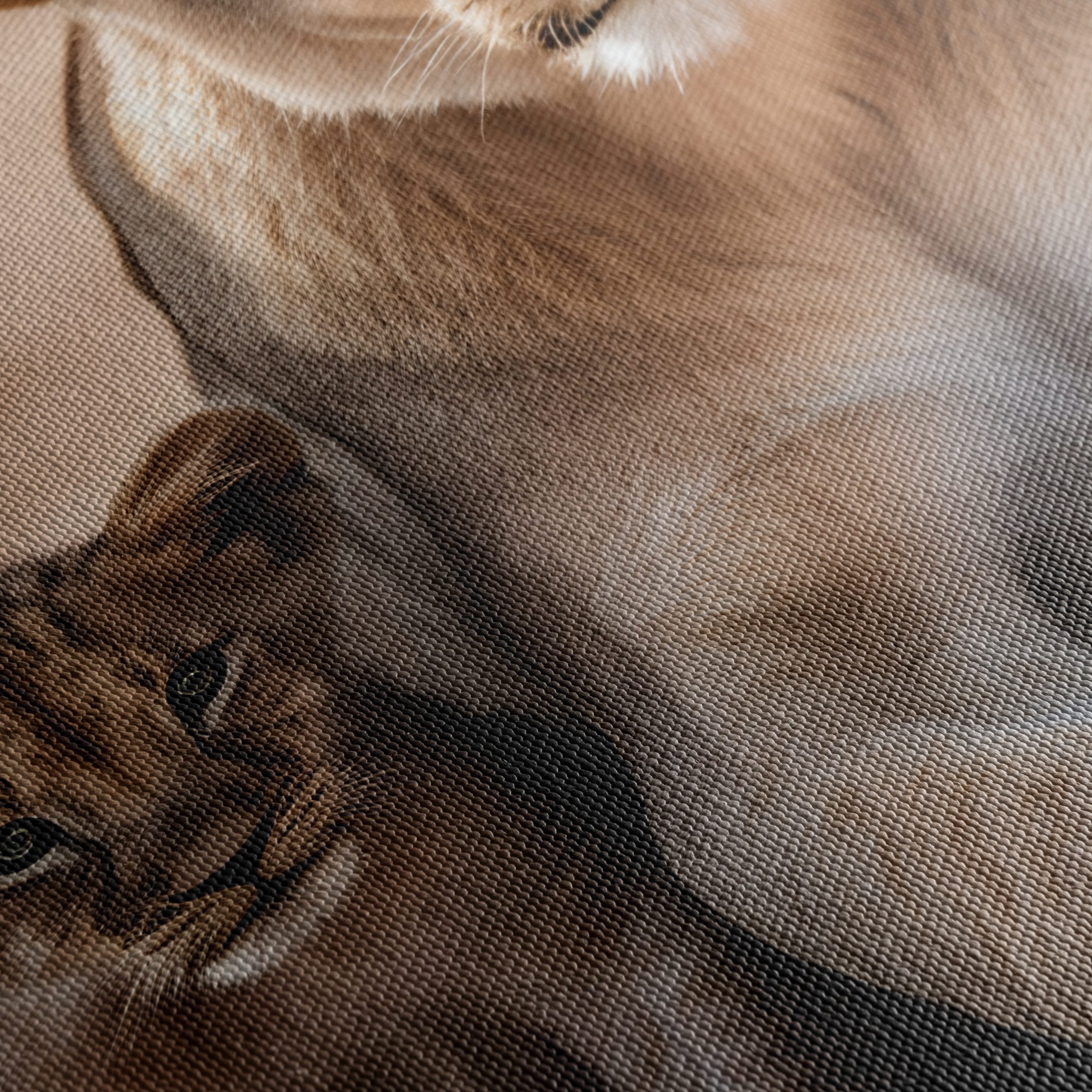 Majestic Lion Family in Nature - Image 5