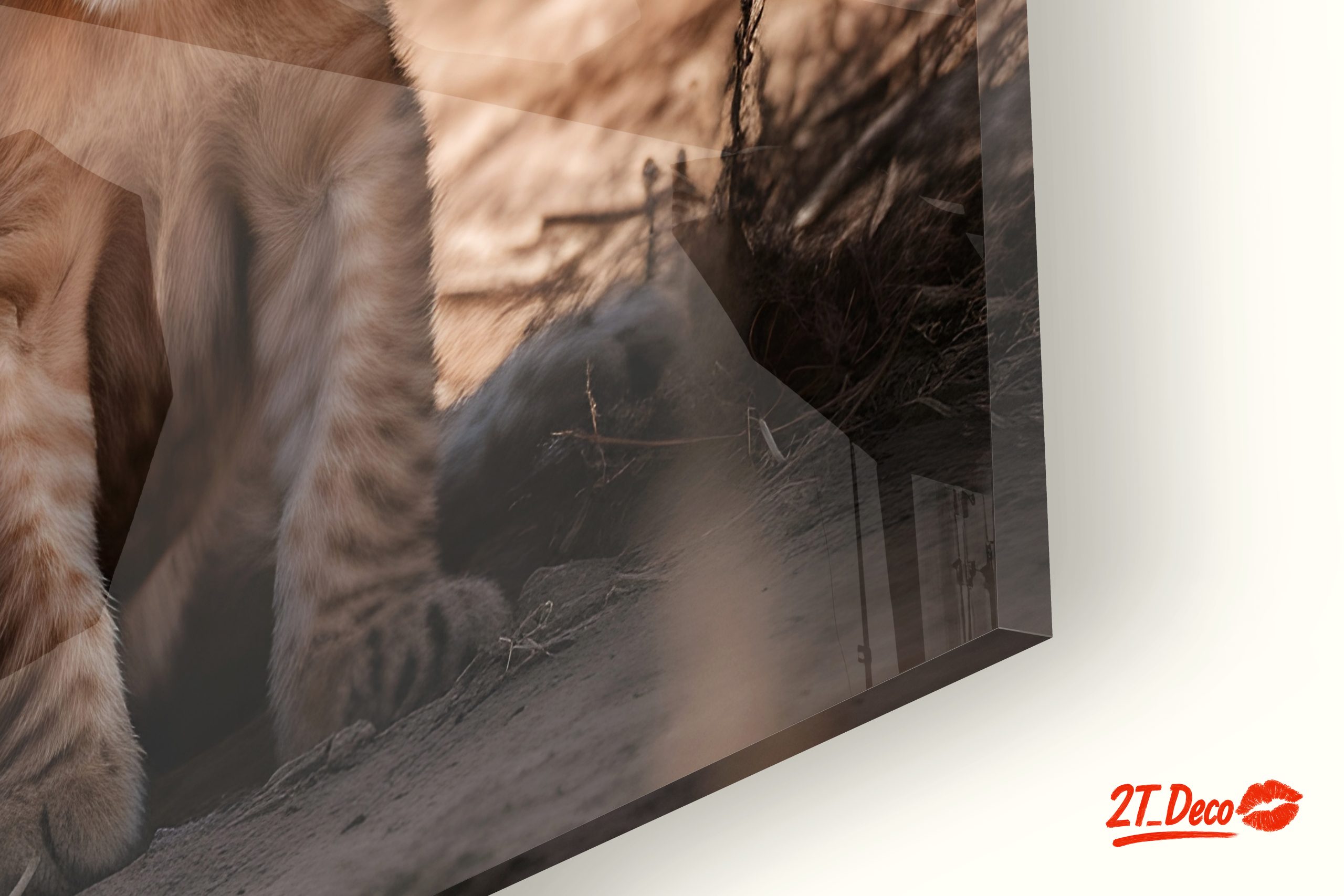 Majestic Lion Family in Nature - Image 9