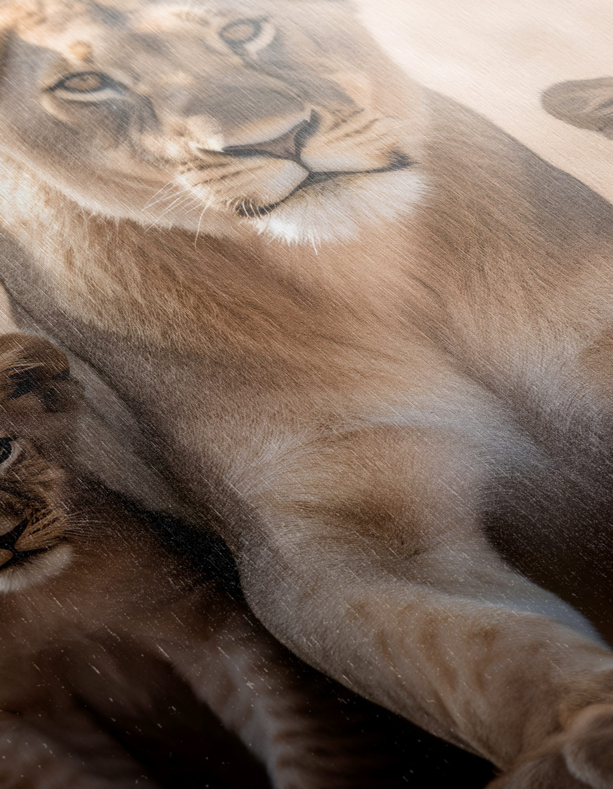 Majestic Lion Family in Nature - Image 12