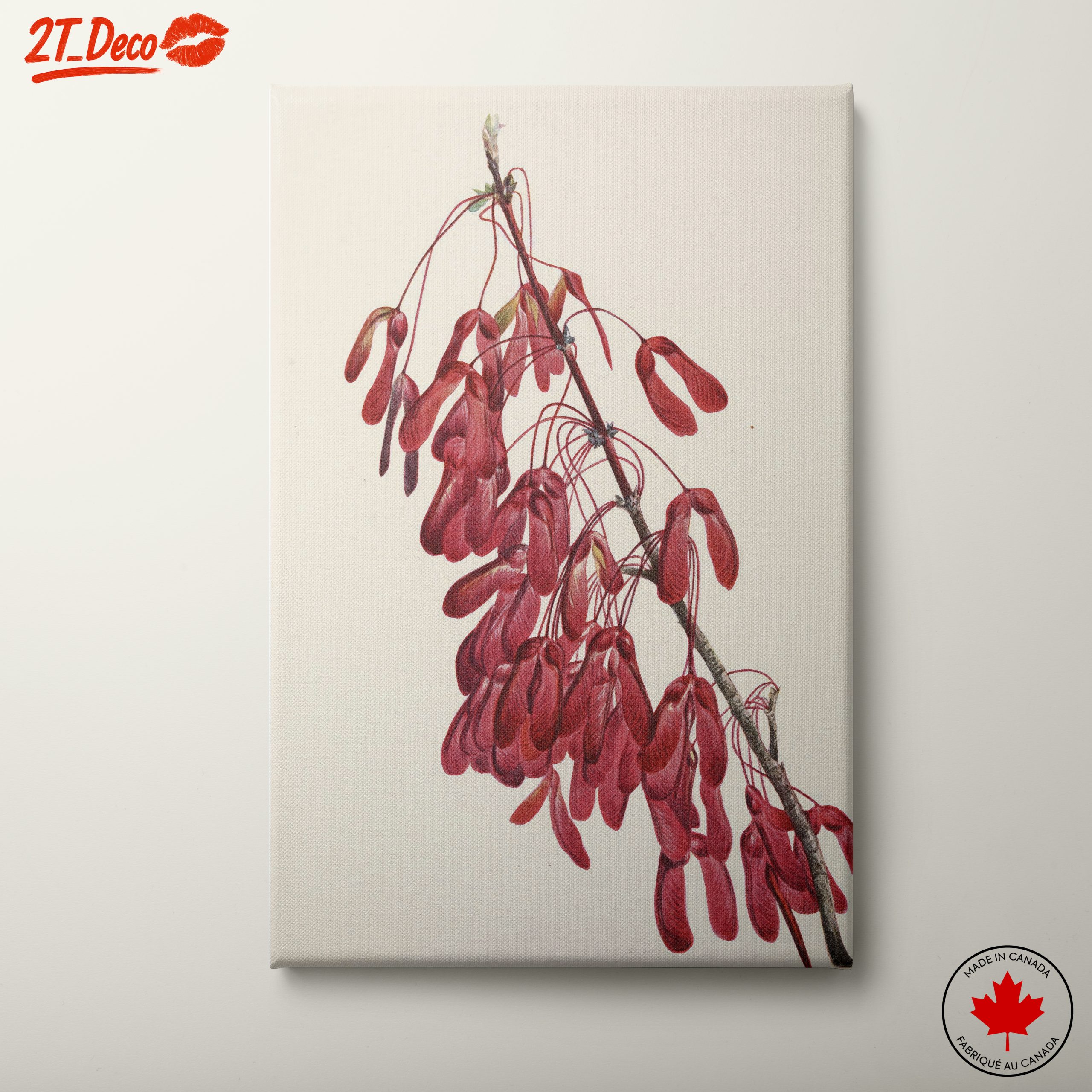 Elegant Botanical Artwork of Red Samaras