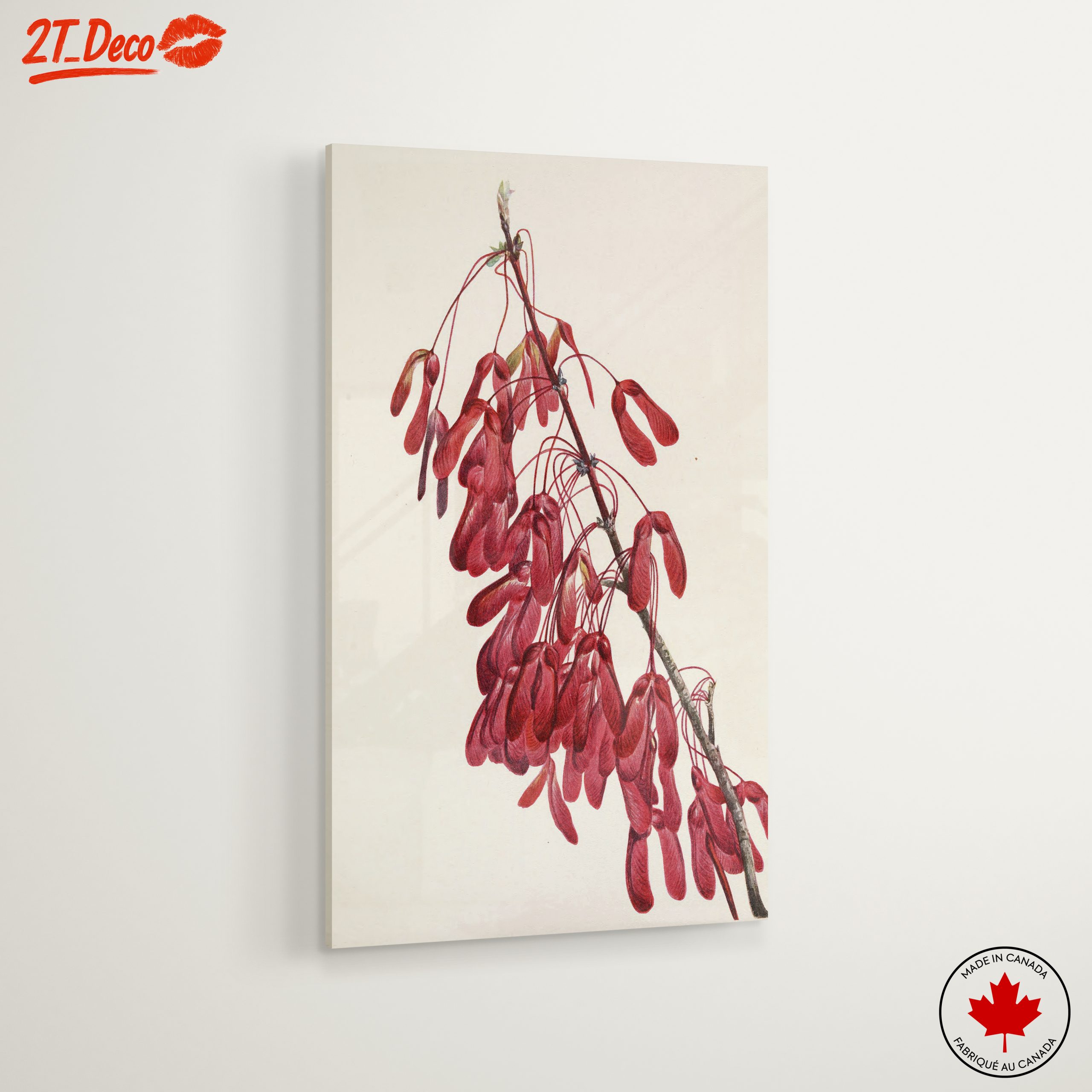 Elegant Botanical Artwork of Red Samaras - Image 6