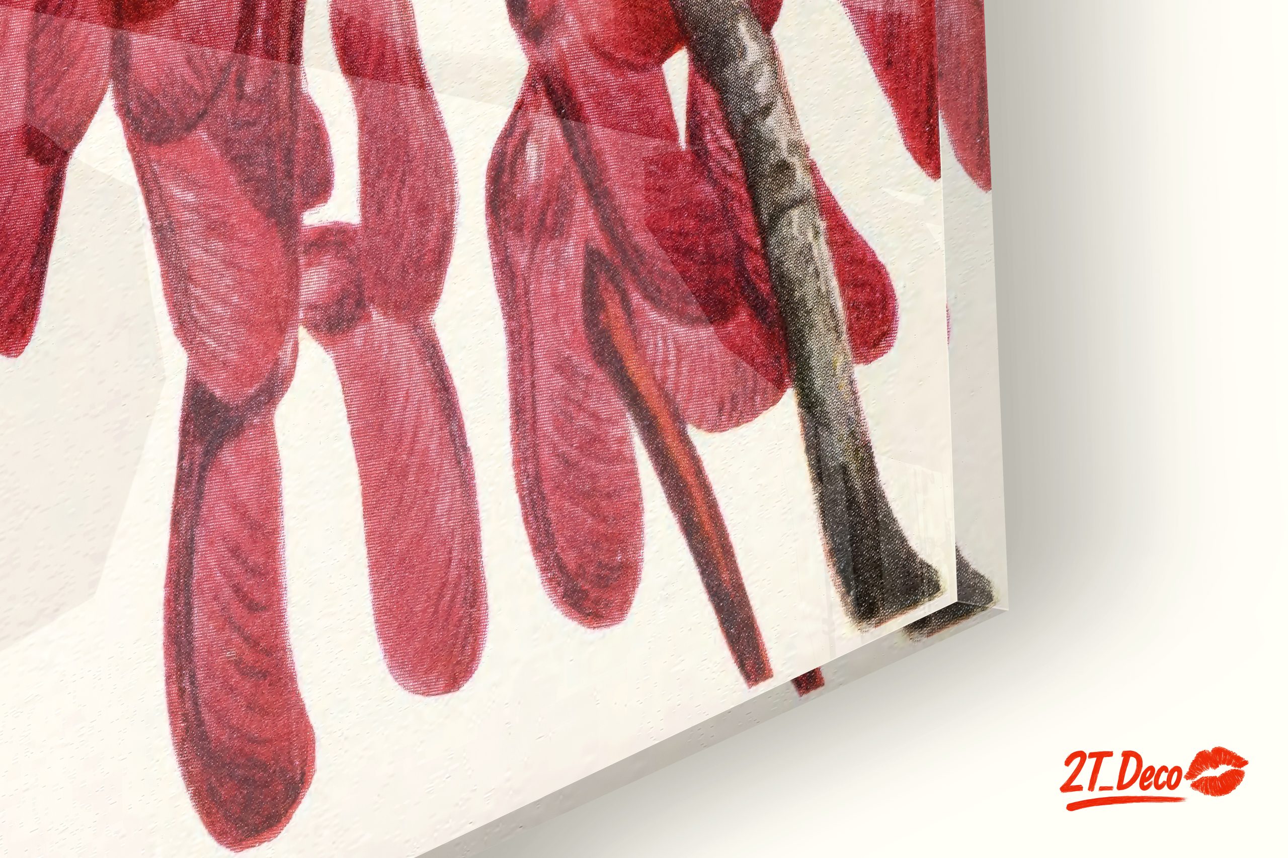 Elegant Botanical Artwork of Red Samaras - Image 9