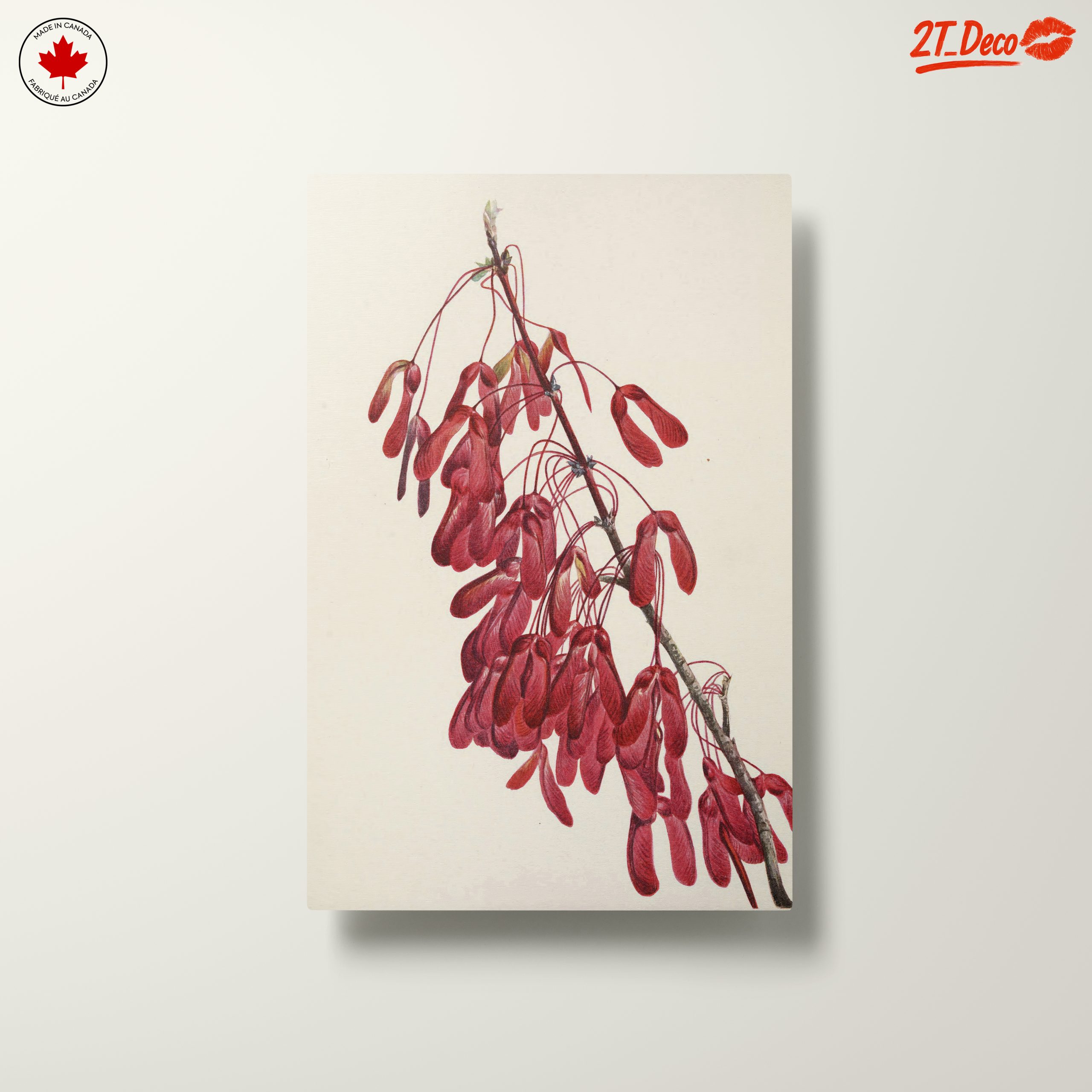 Elegant Botanical Artwork of Red Samaras - Image 10