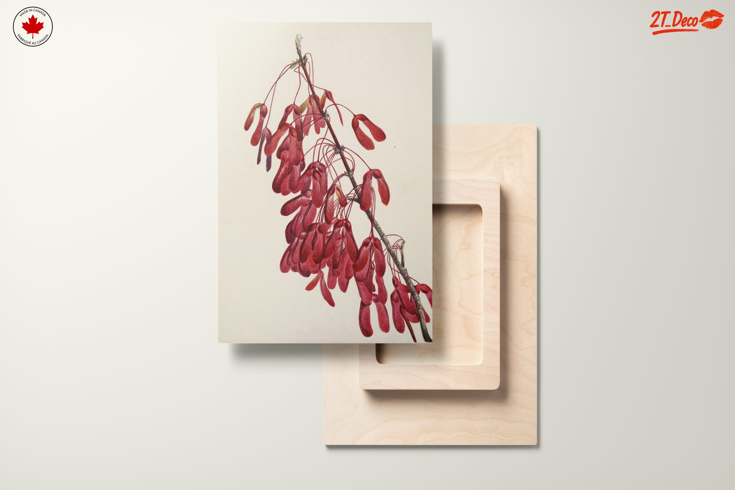 Elegant Botanical Artwork of Red Samaras - Image 11