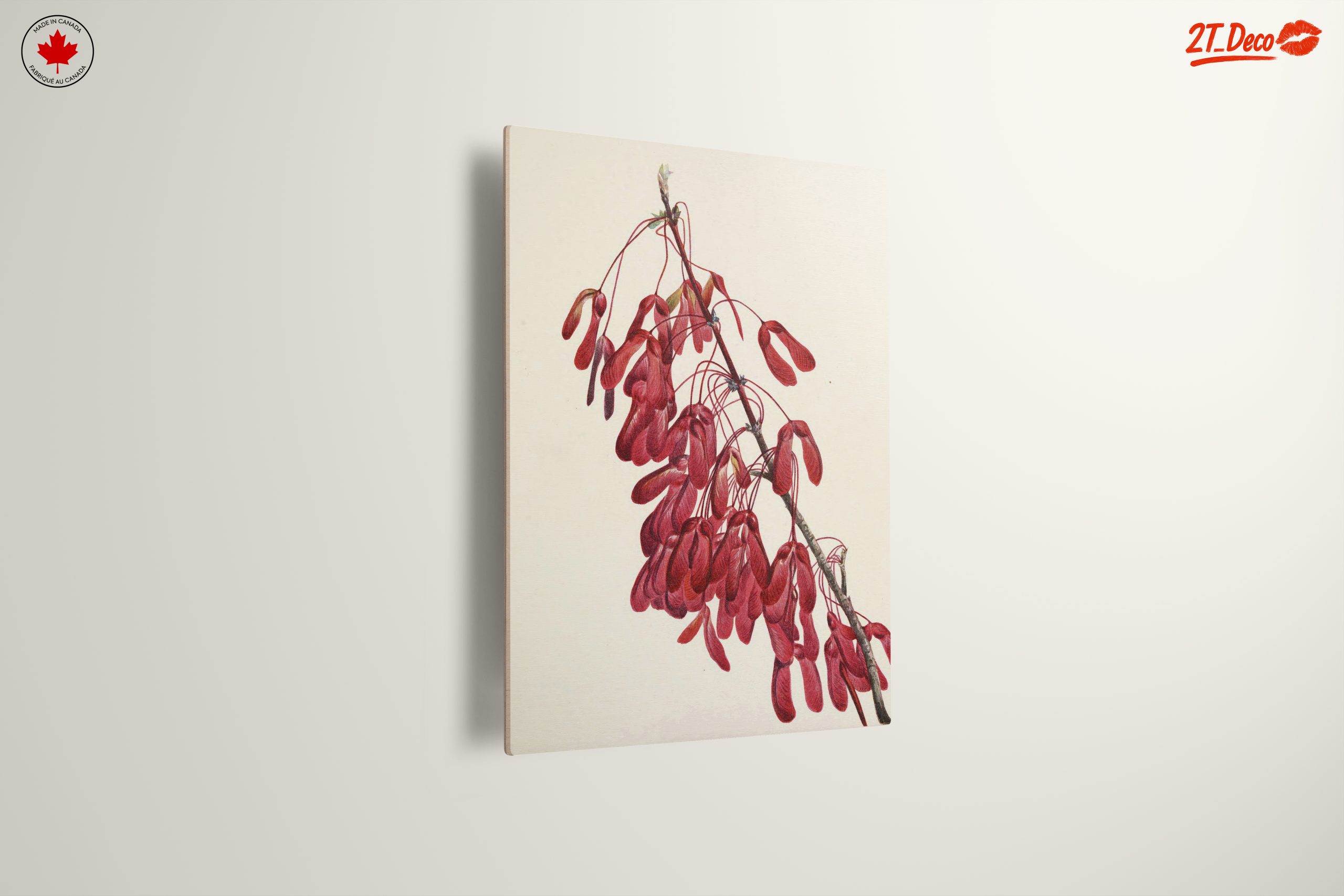Elegant Botanical Artwork of Red Samaras - Image 13