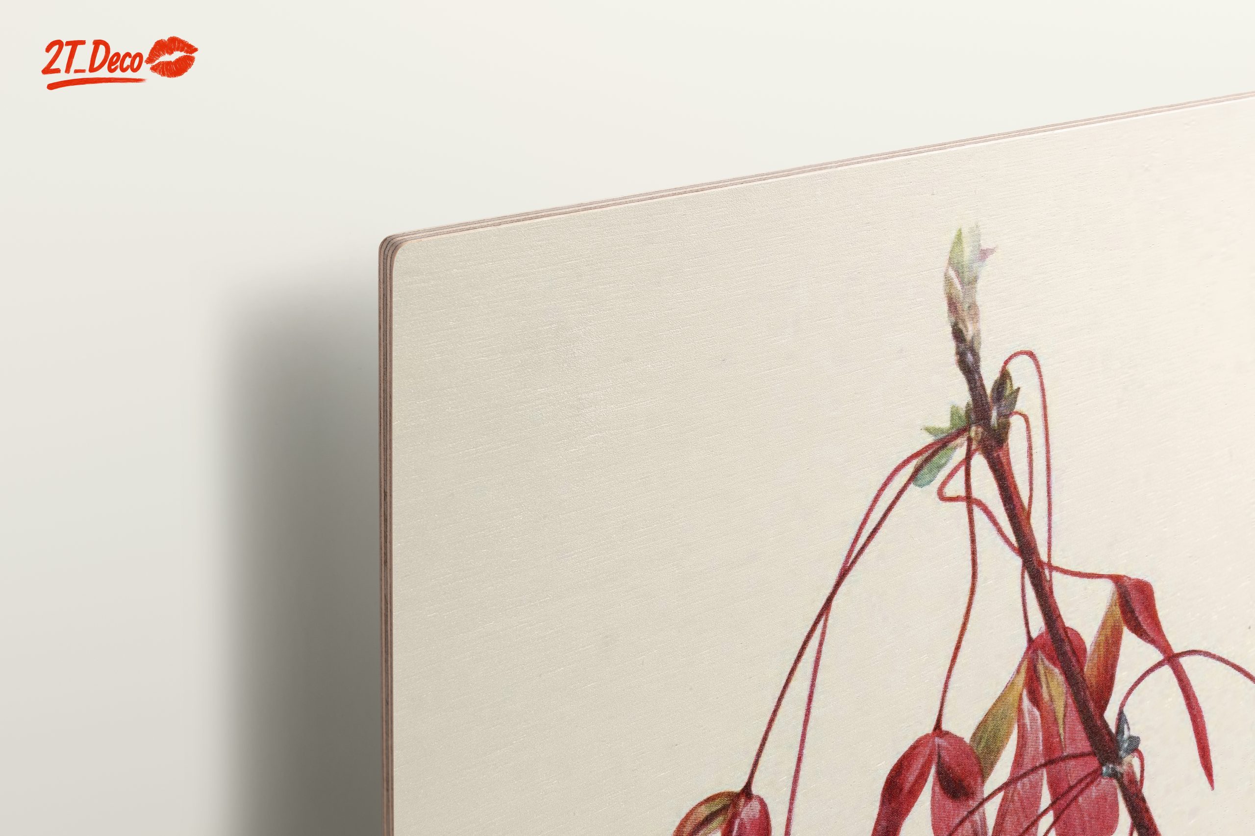 Elegant Botanical Artwork of Red Samaras - Image 15