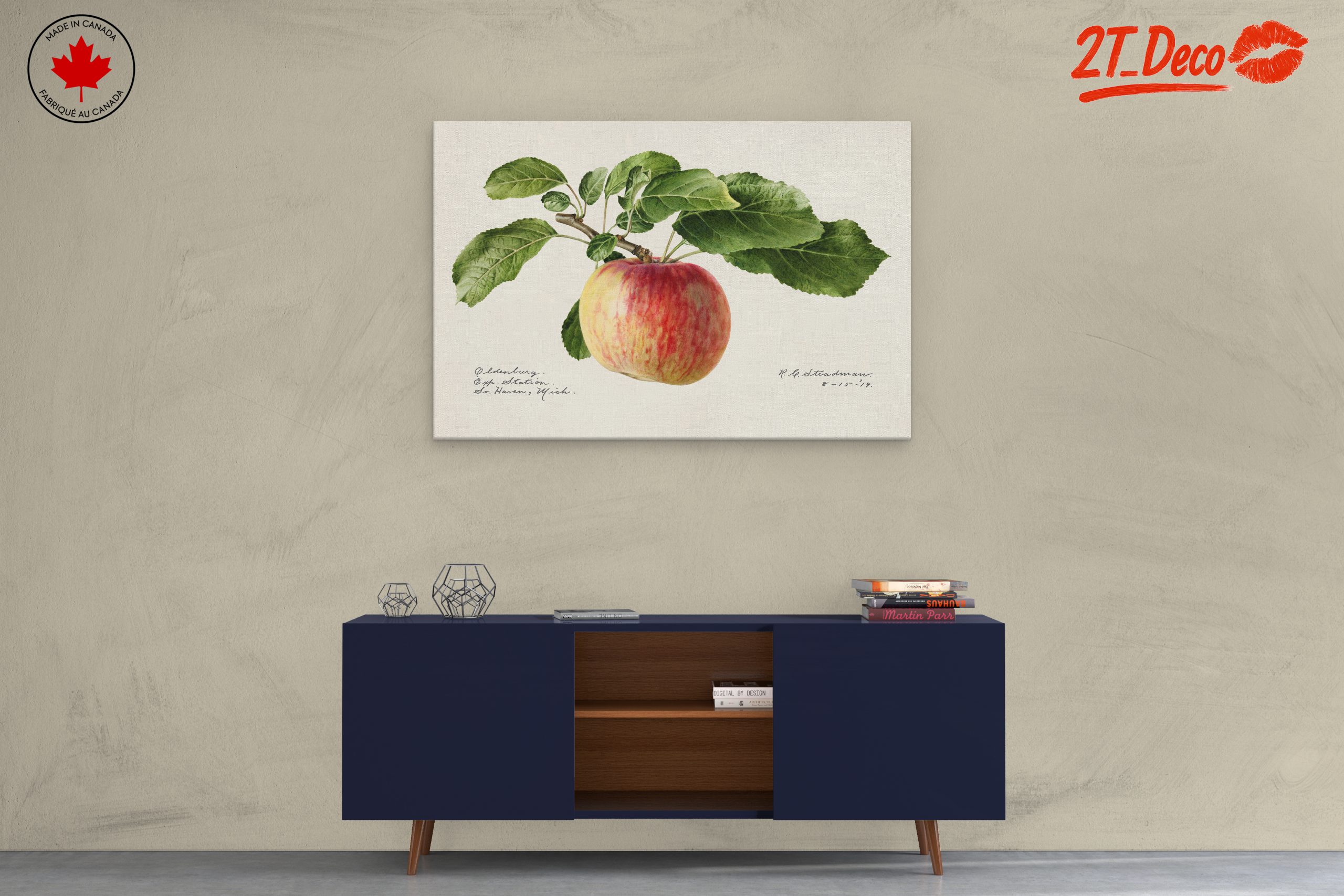 Realistic Botanical Apple Art - Image 3