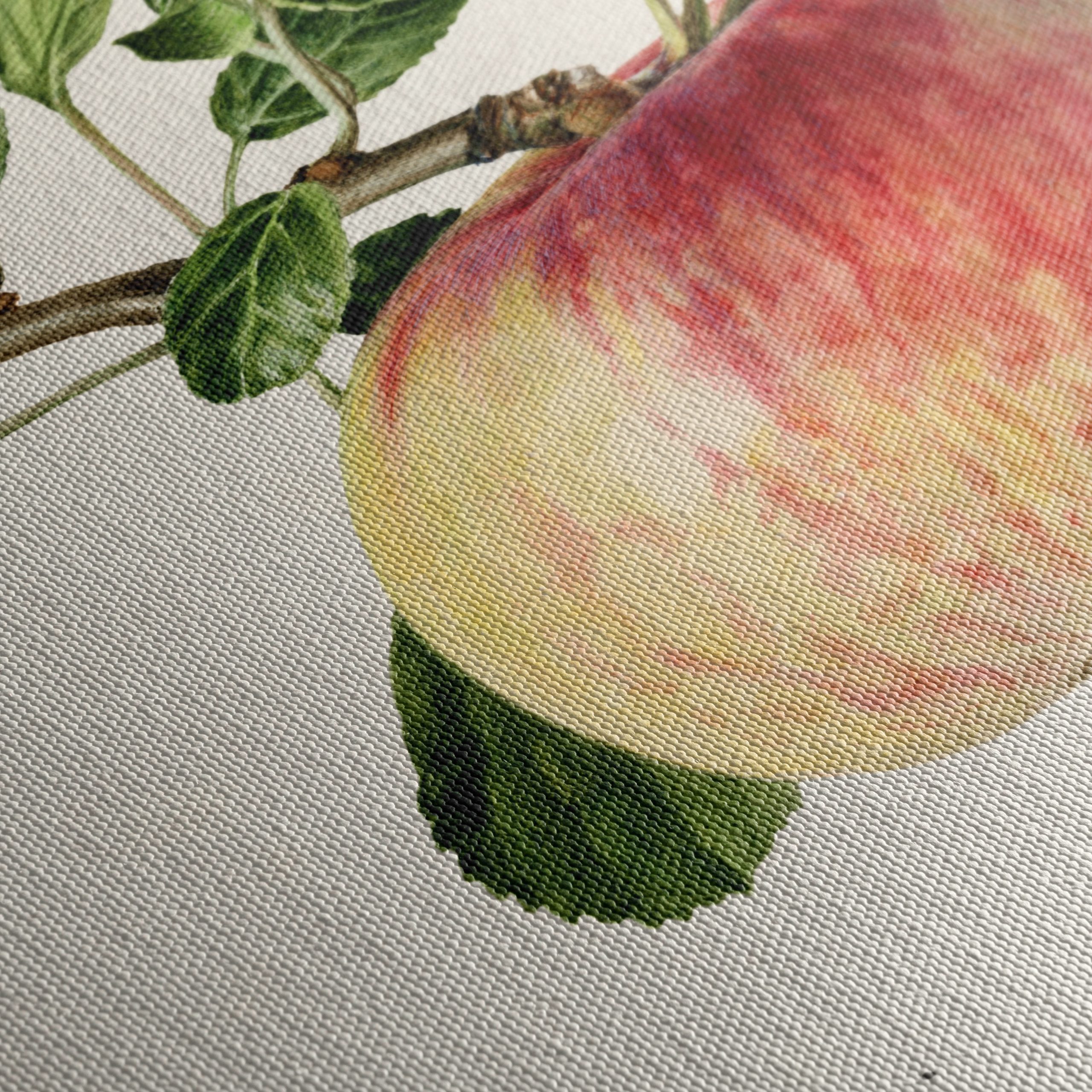 Realistic Botanical Apple Art - Image 5