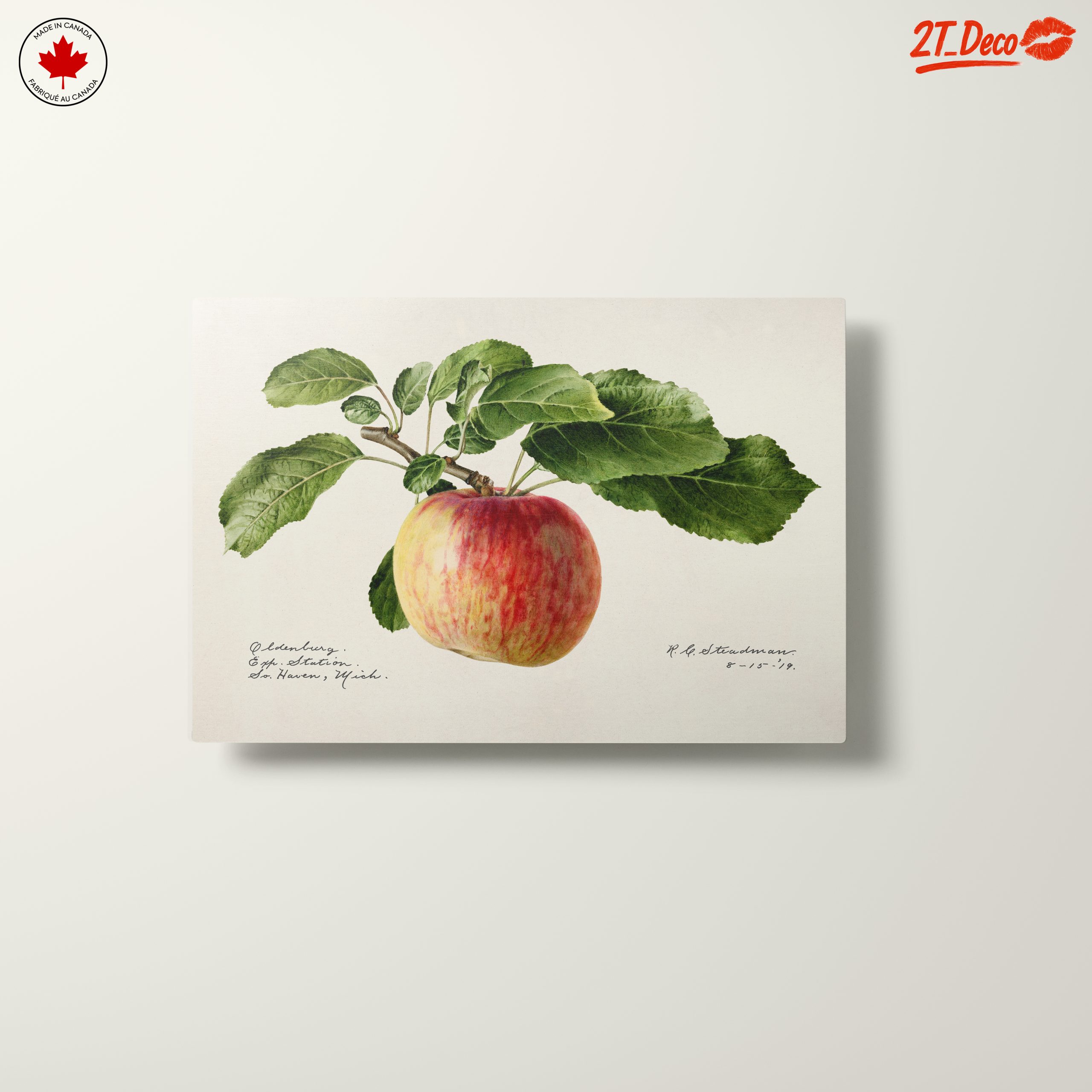 Realistic Botanical Apple Art - Image 10