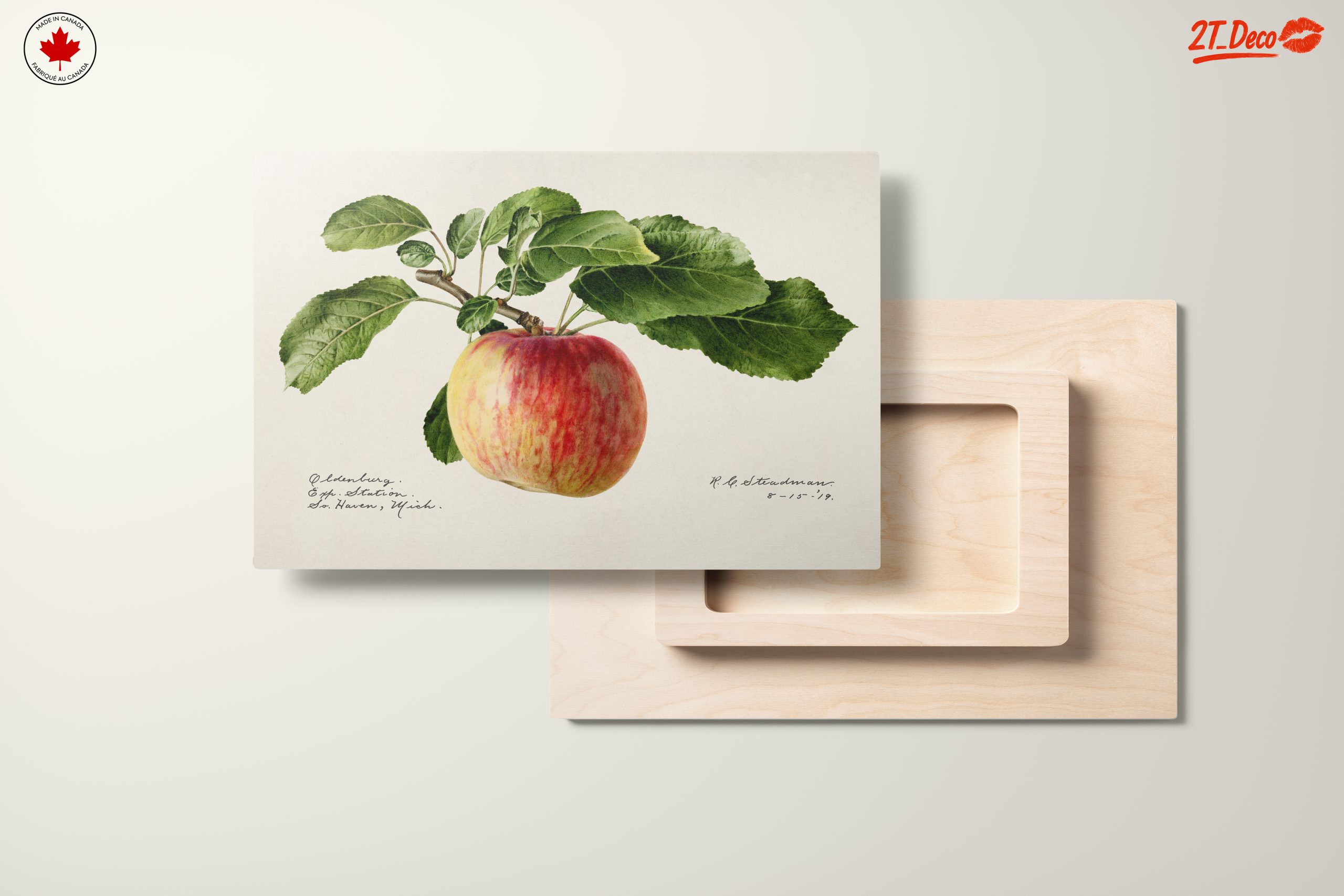 Realistic Botanical Apple Art - Image 11