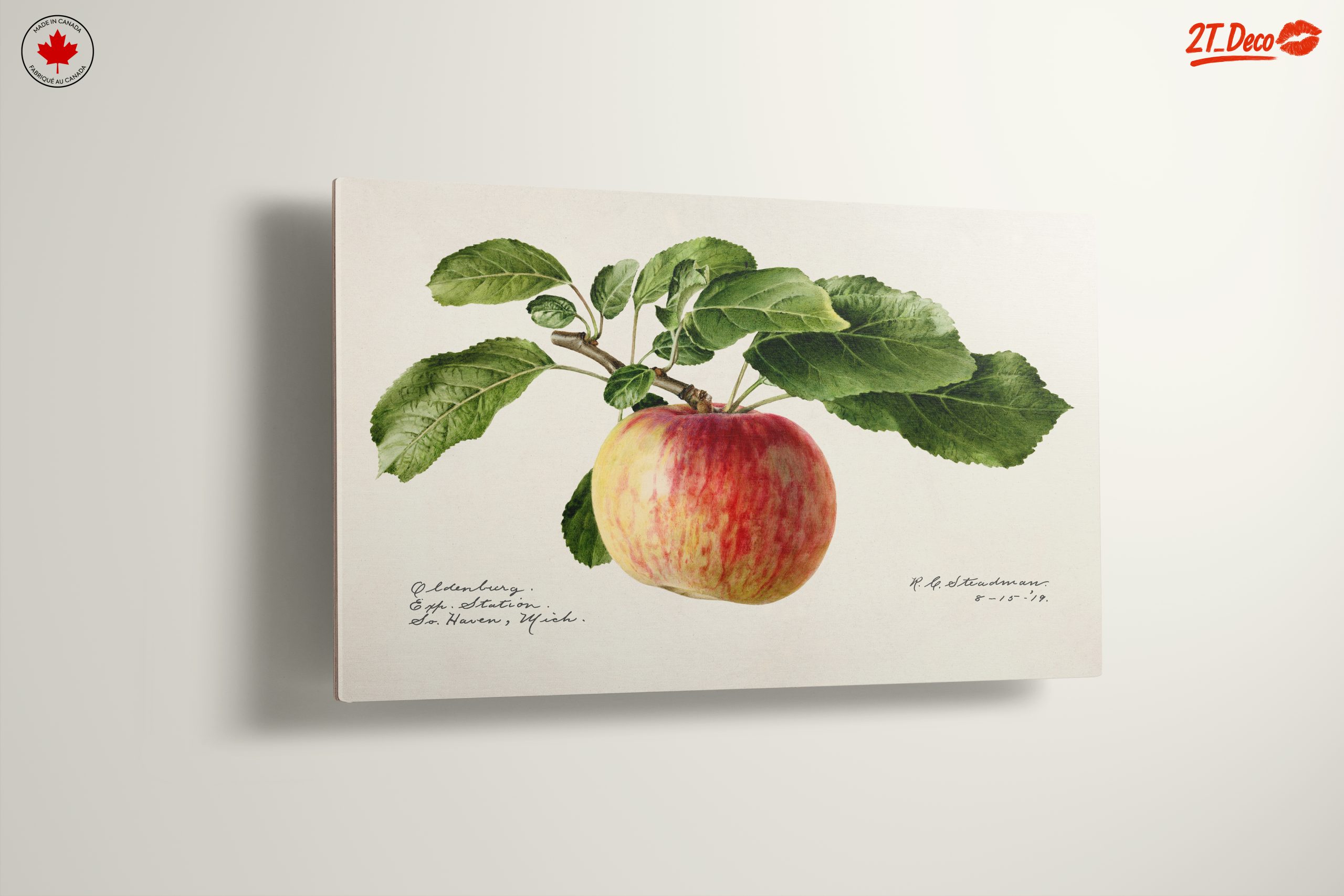 Realistic Botanical Apple Art - Image 13