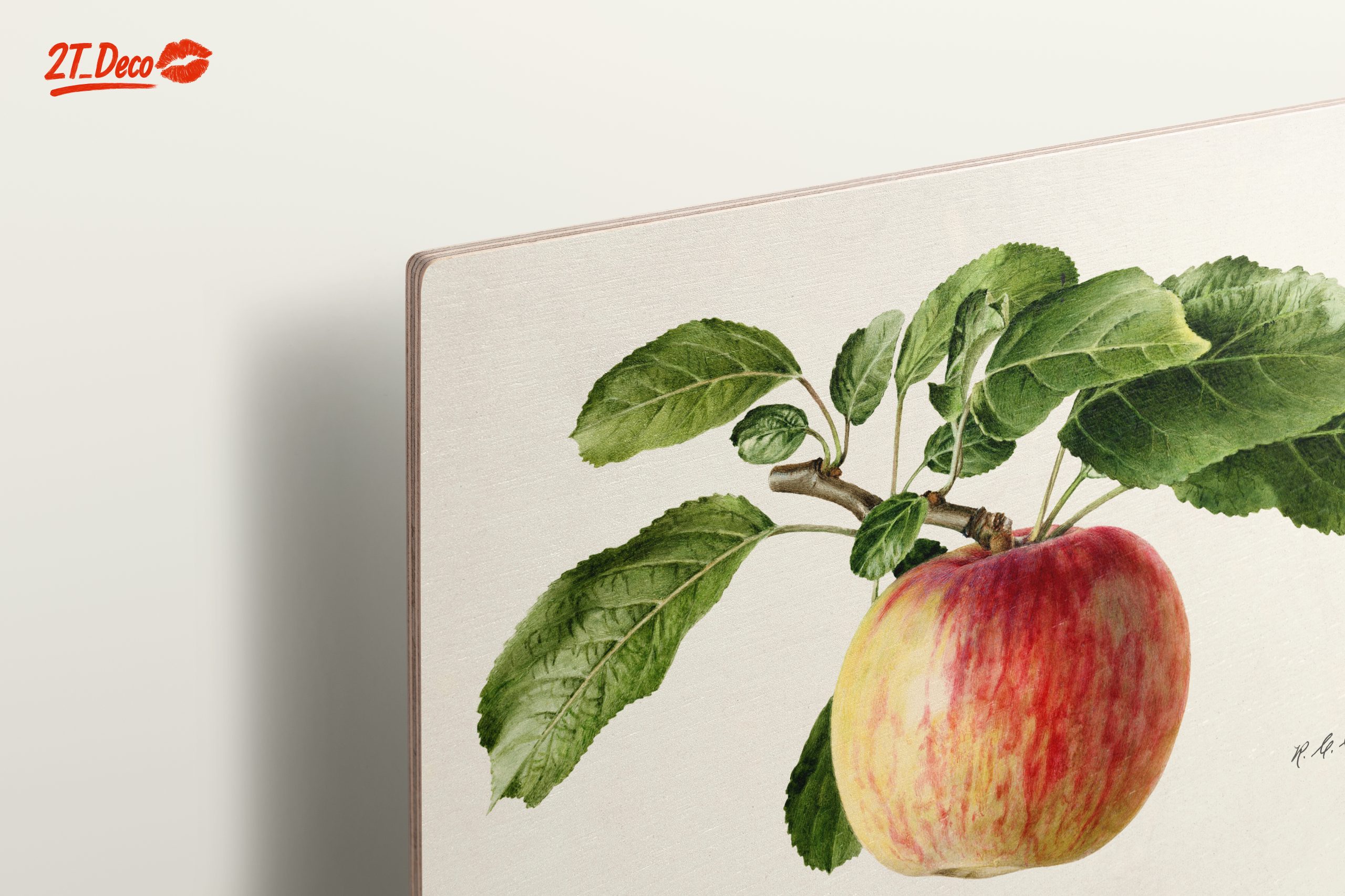 Realistic Botanical Apple Art - Image 15