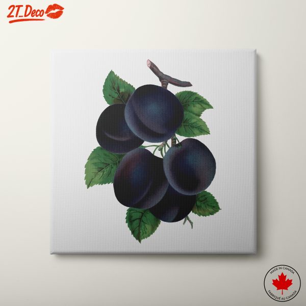 Plum Botanical Art with Leaves