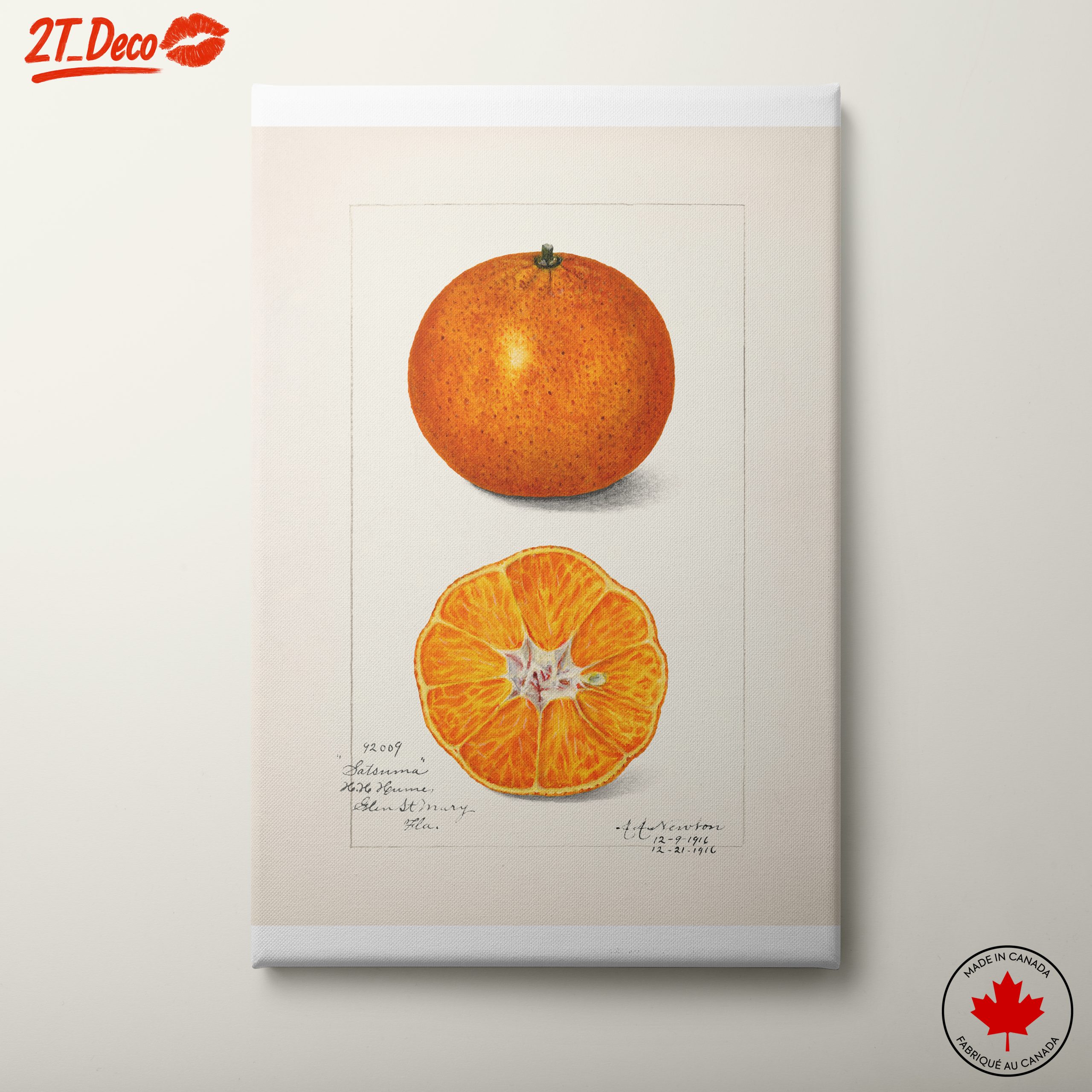 Vibrant Abstract Food Illustration of Citrus