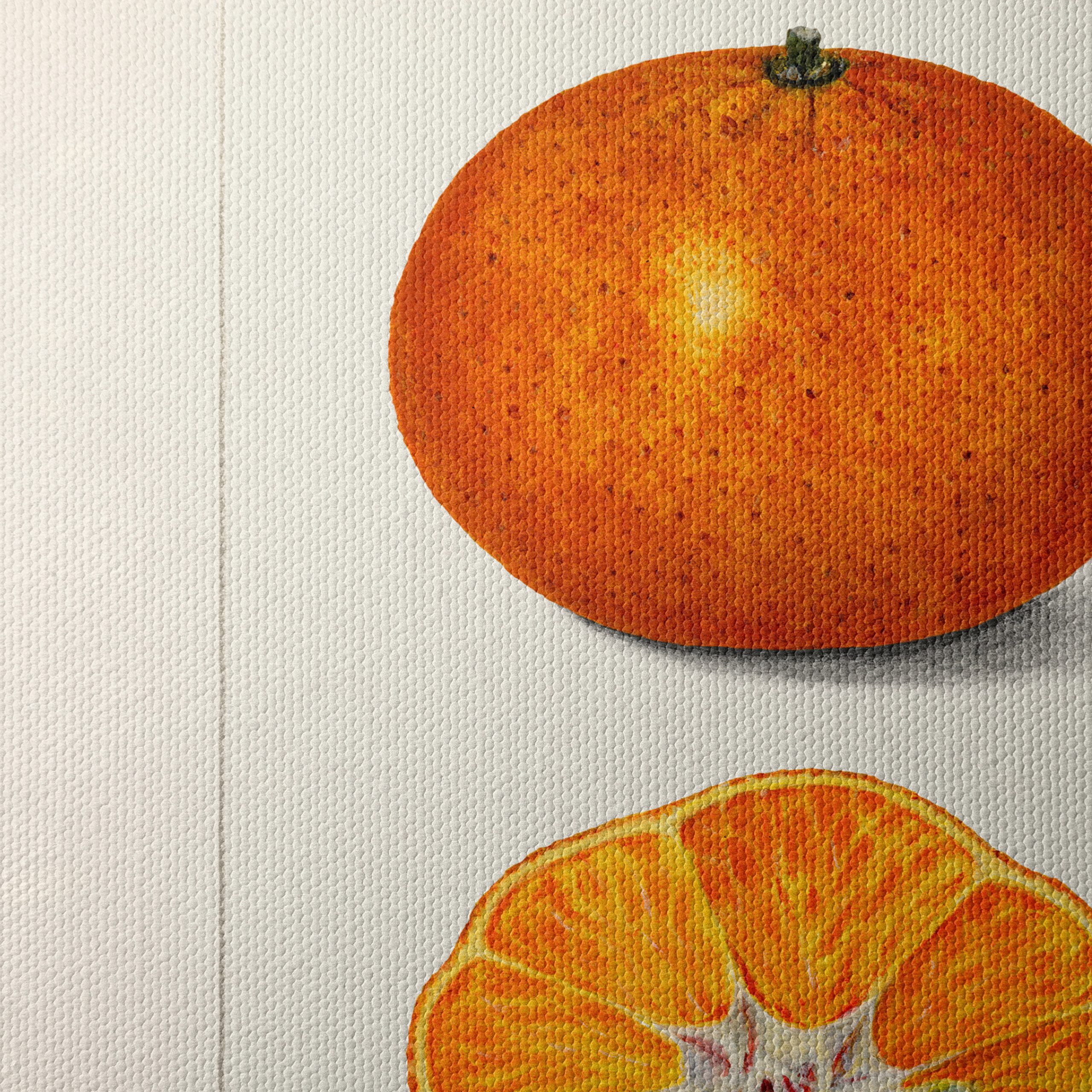 Vibrant Abstract Food Illustration of Citrus - Image 4