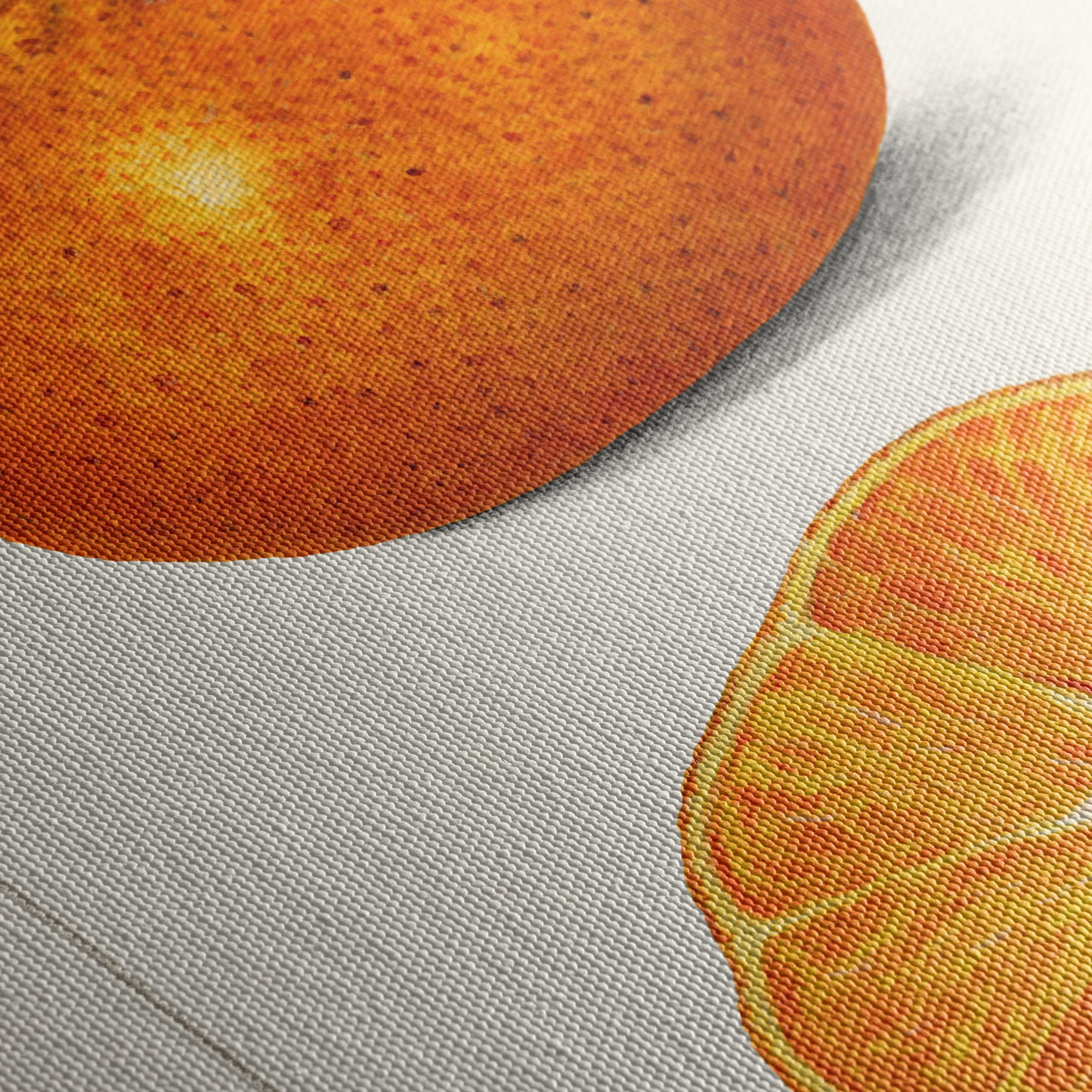 Vibrant Abstract Food Illustration of Citrus - Image 5