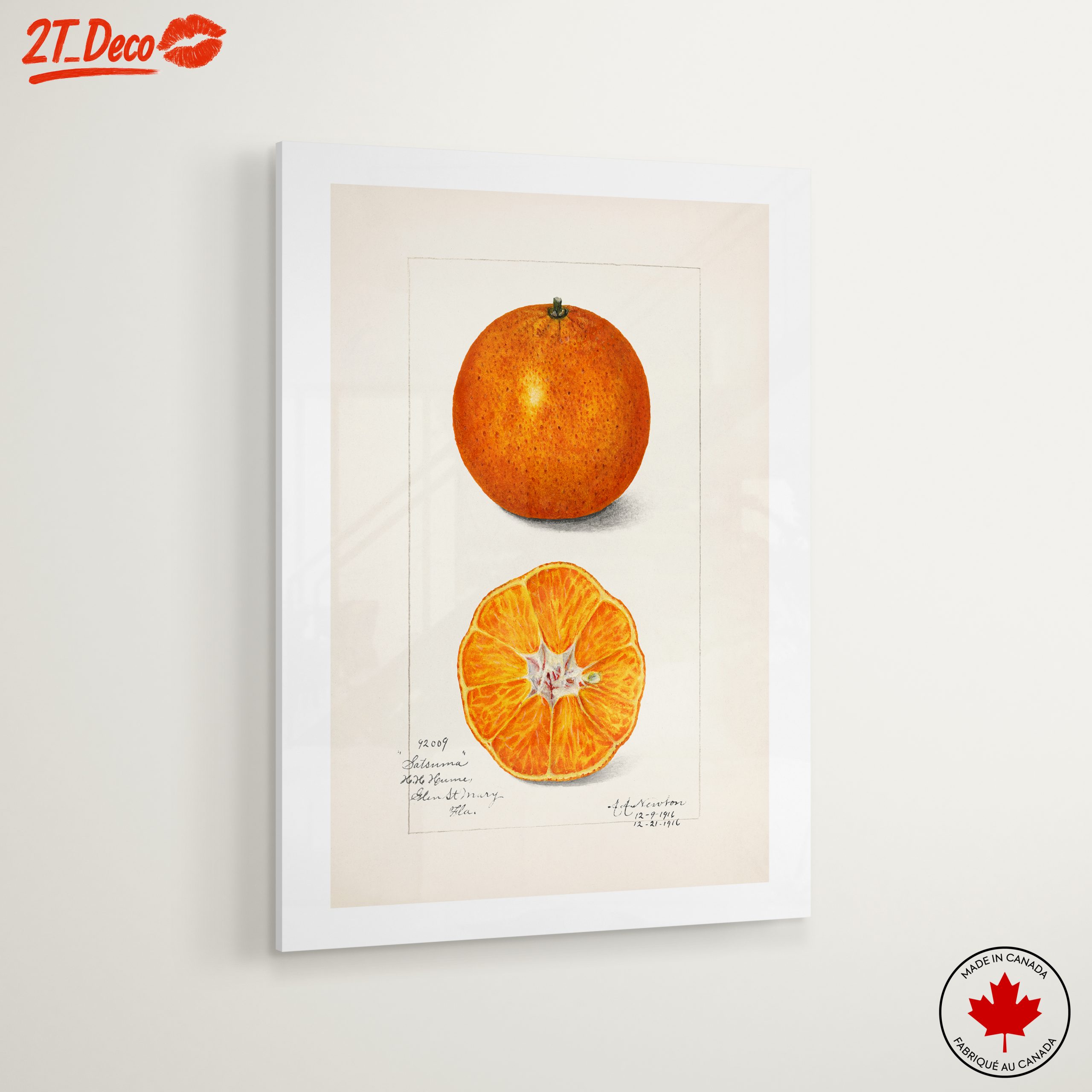 Vibrant Abstract Food Illustration of Citrus - Image 6