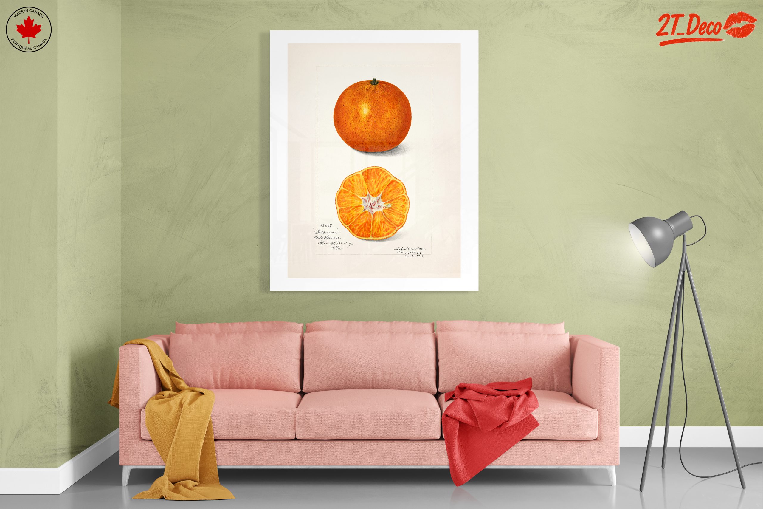 Vibrant Abstract Food Illustration of Citrus - Image 7