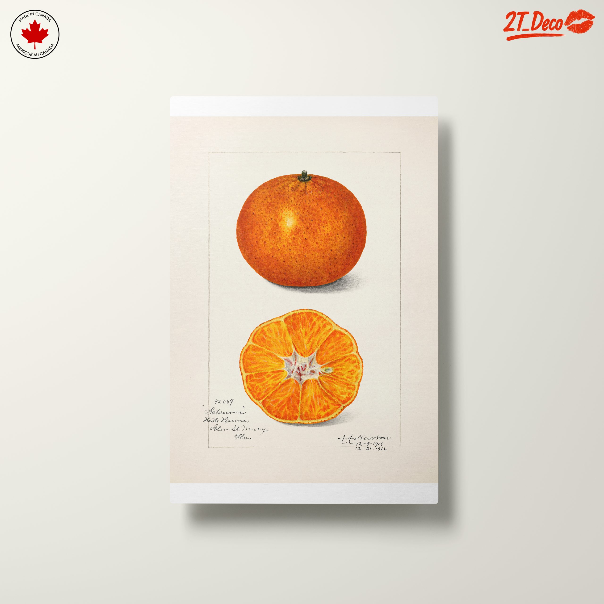 Vibrant Abstract Food Illustration of Citrus - Image 10