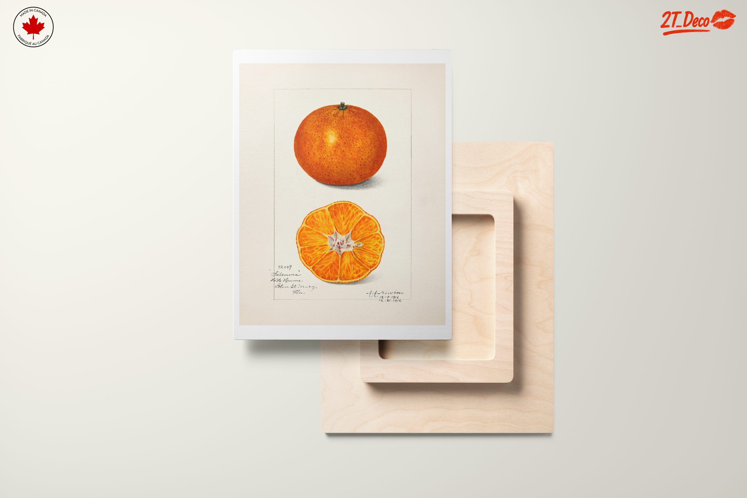 Vibrant Abstract Food Illustration of Citrus - Image 11