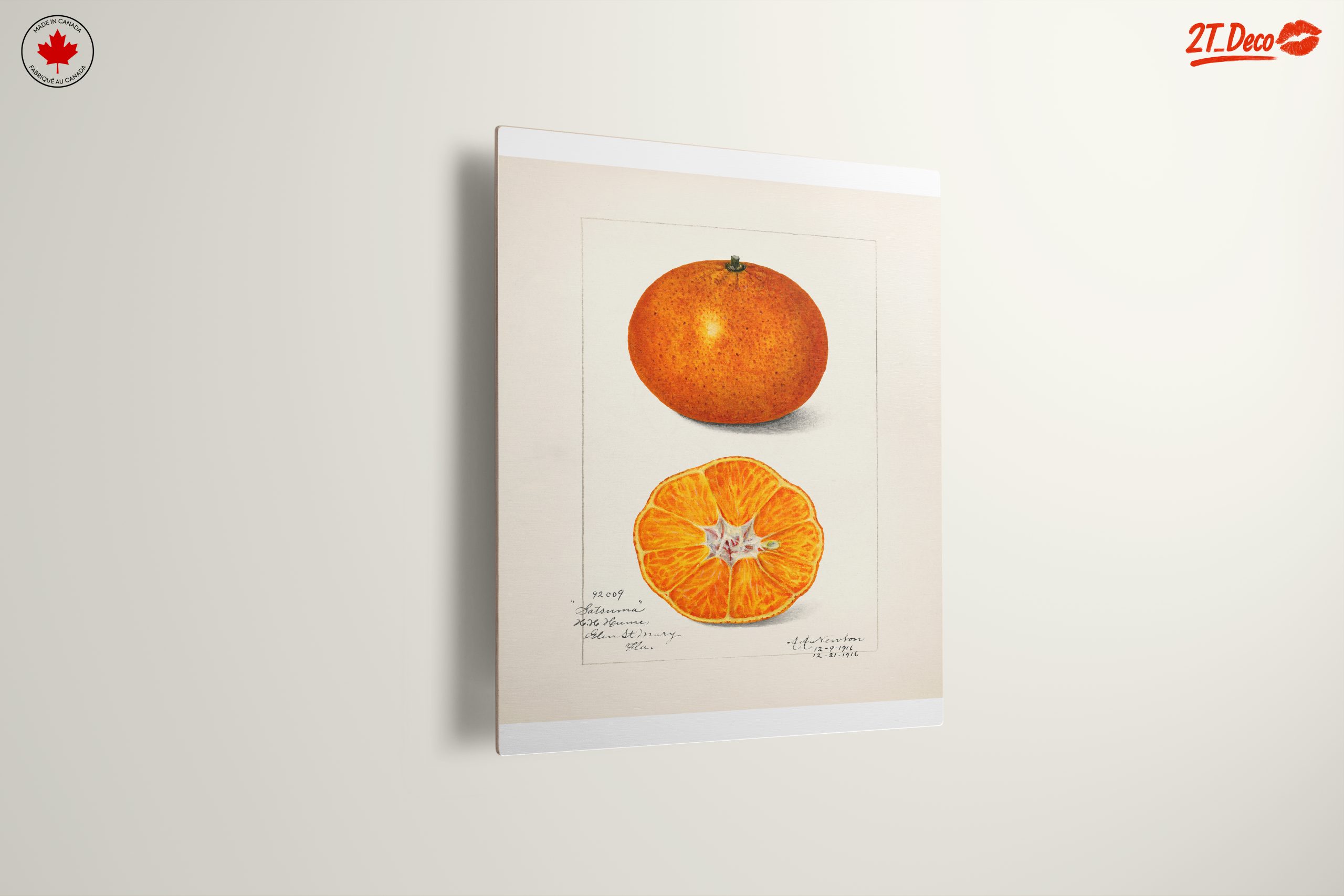 Vibrant Abstract Food Illustration of Citrus - Image 13