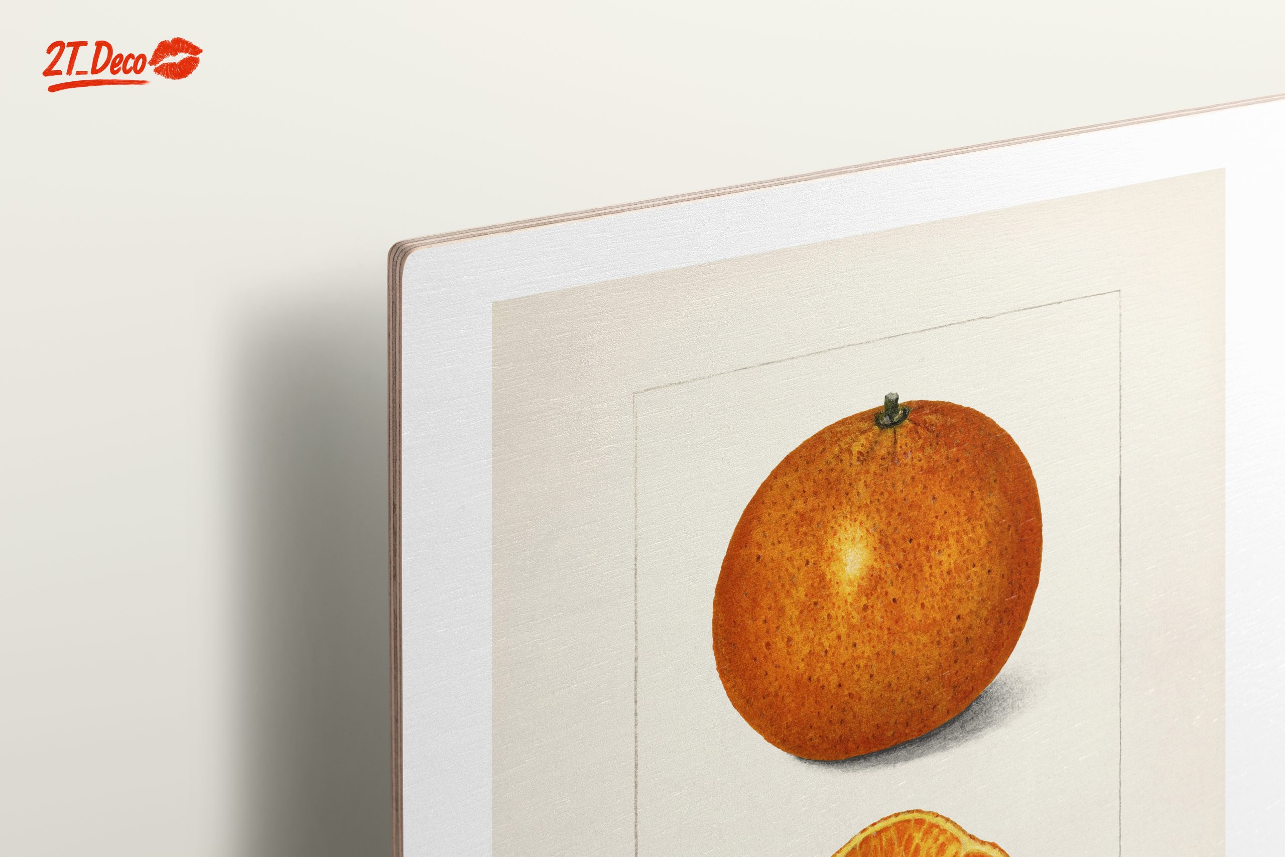 Vibrant Abstract Food Illustration of Citrus - Image 15