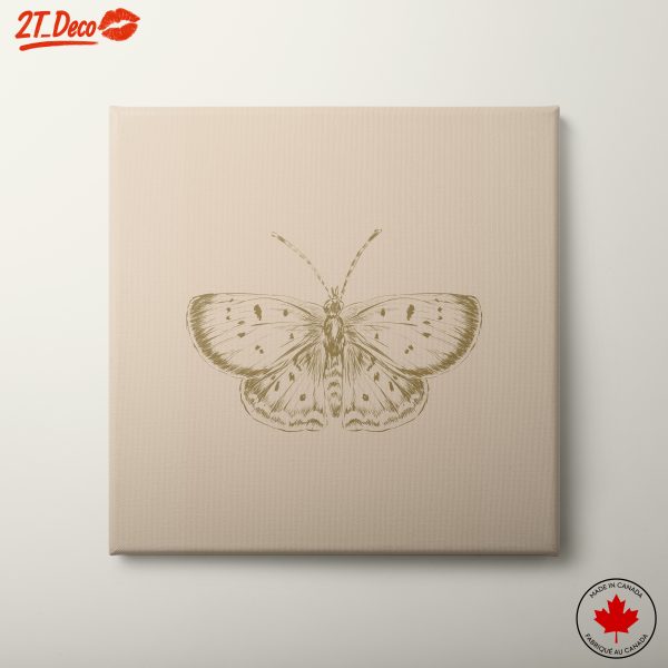 Detailed Butterfly Illustration Art 6
