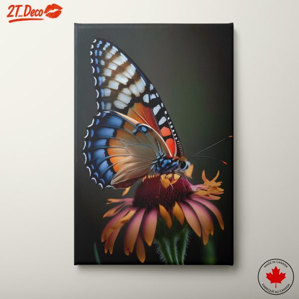 Stunning Butterfly on Vibrant Flower