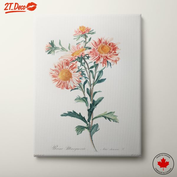 Delicate Botanical Floral Illustration