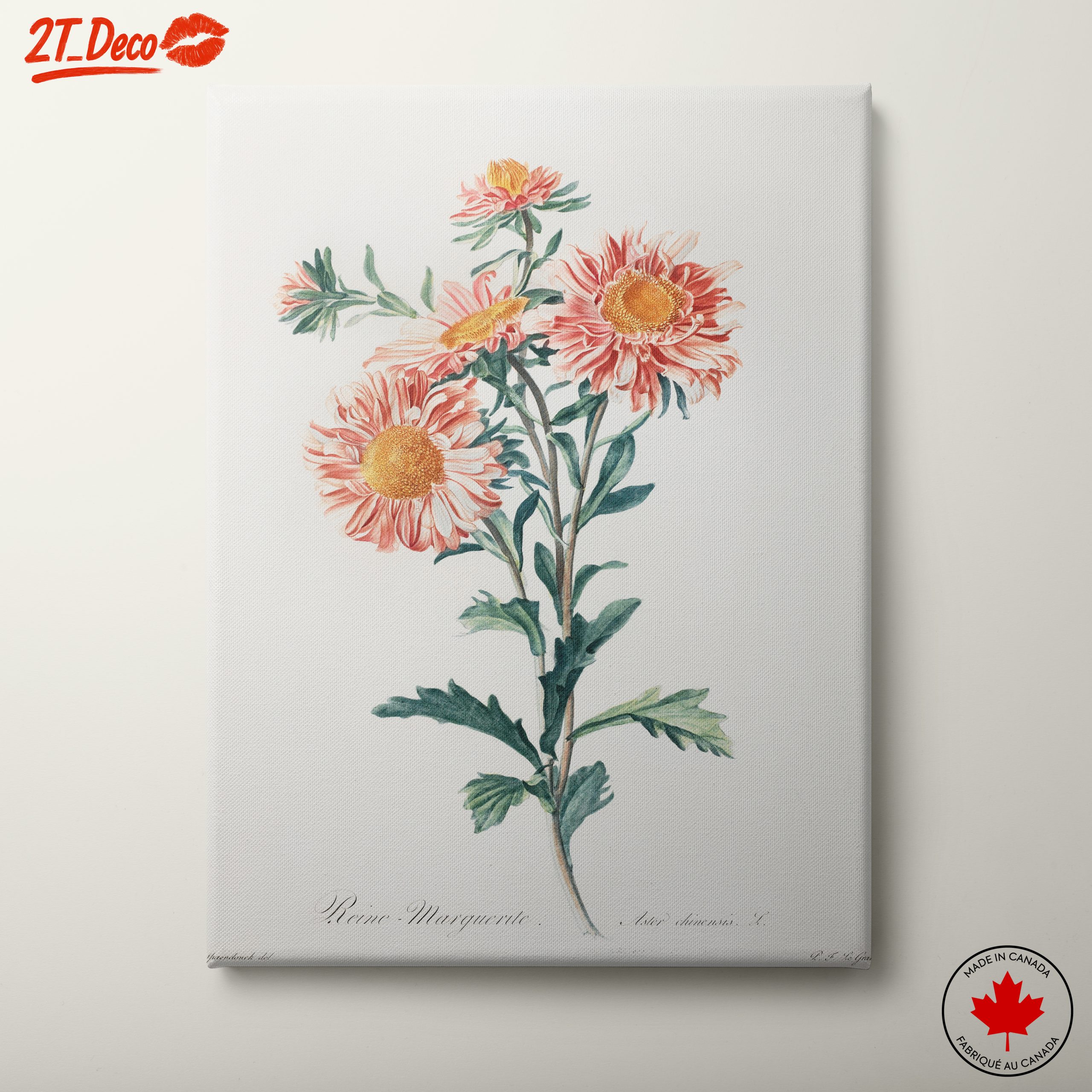 Delicate Botanical Floral Illustration