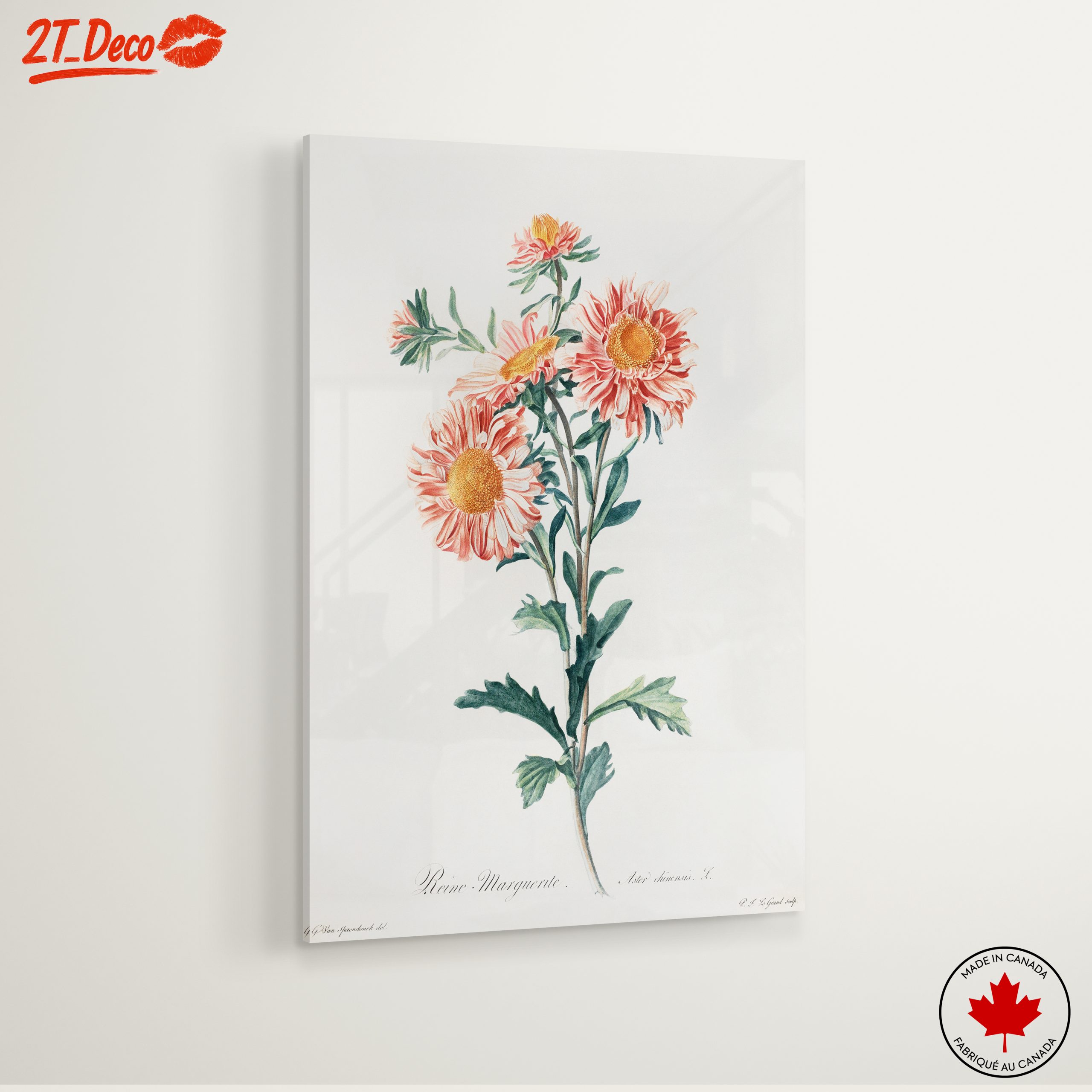 Delicate Botanical Floral Illustration - Image 6