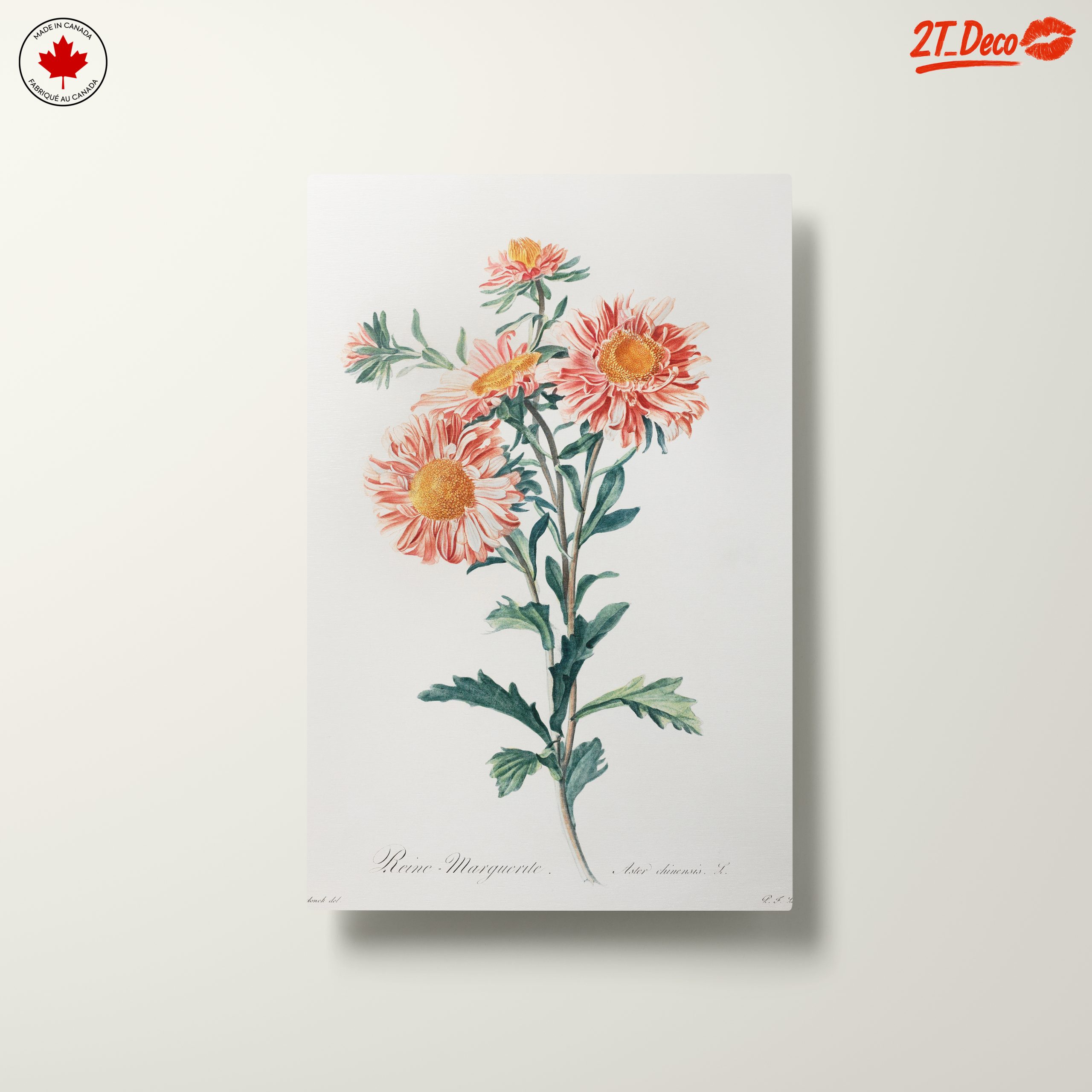 Delicate Botanical Floral Illustration - Image 10