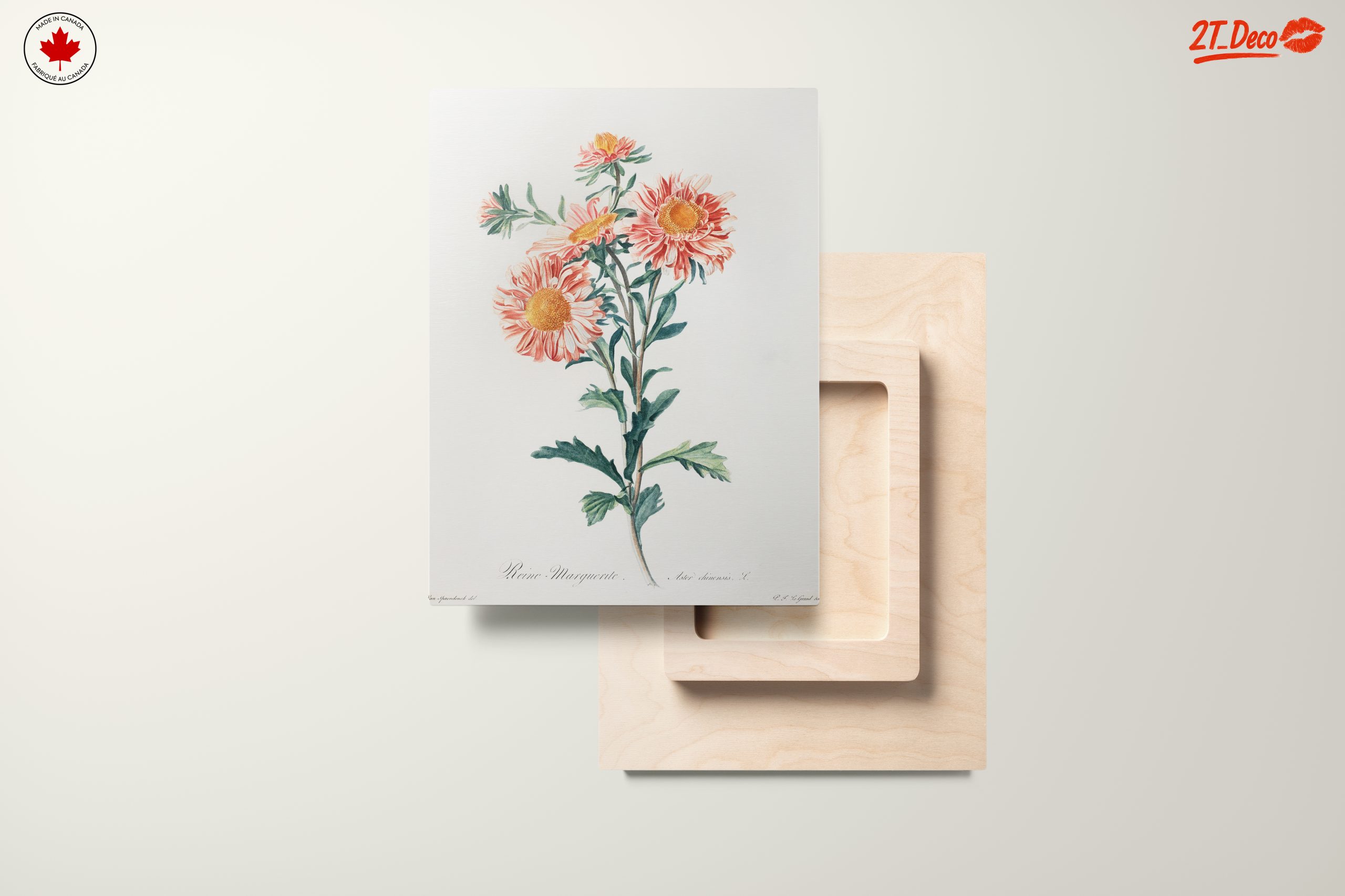 Delicate Botanical Floral Illustration - Image 11