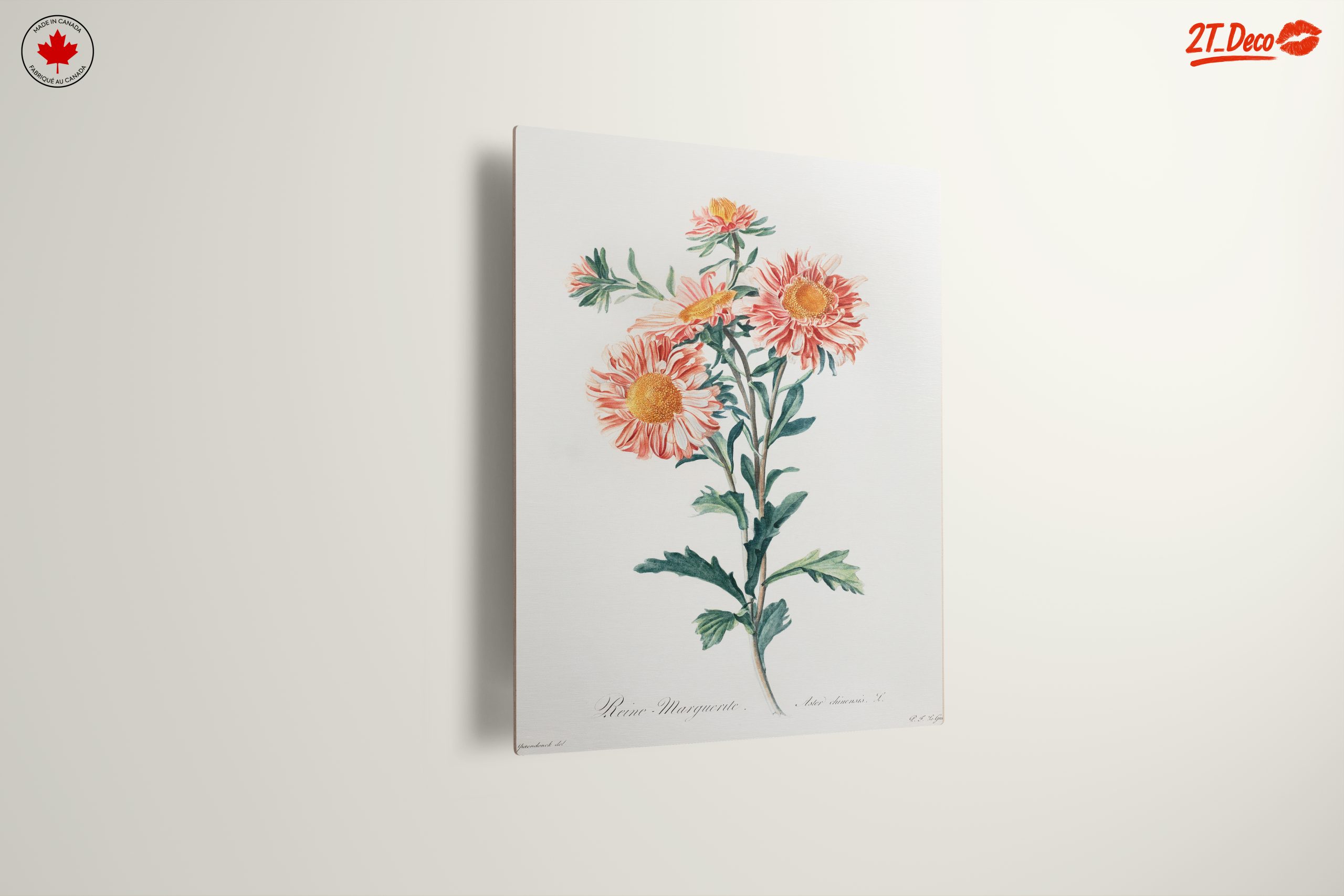 Delicate Botanical Floral Illustration - Image 13